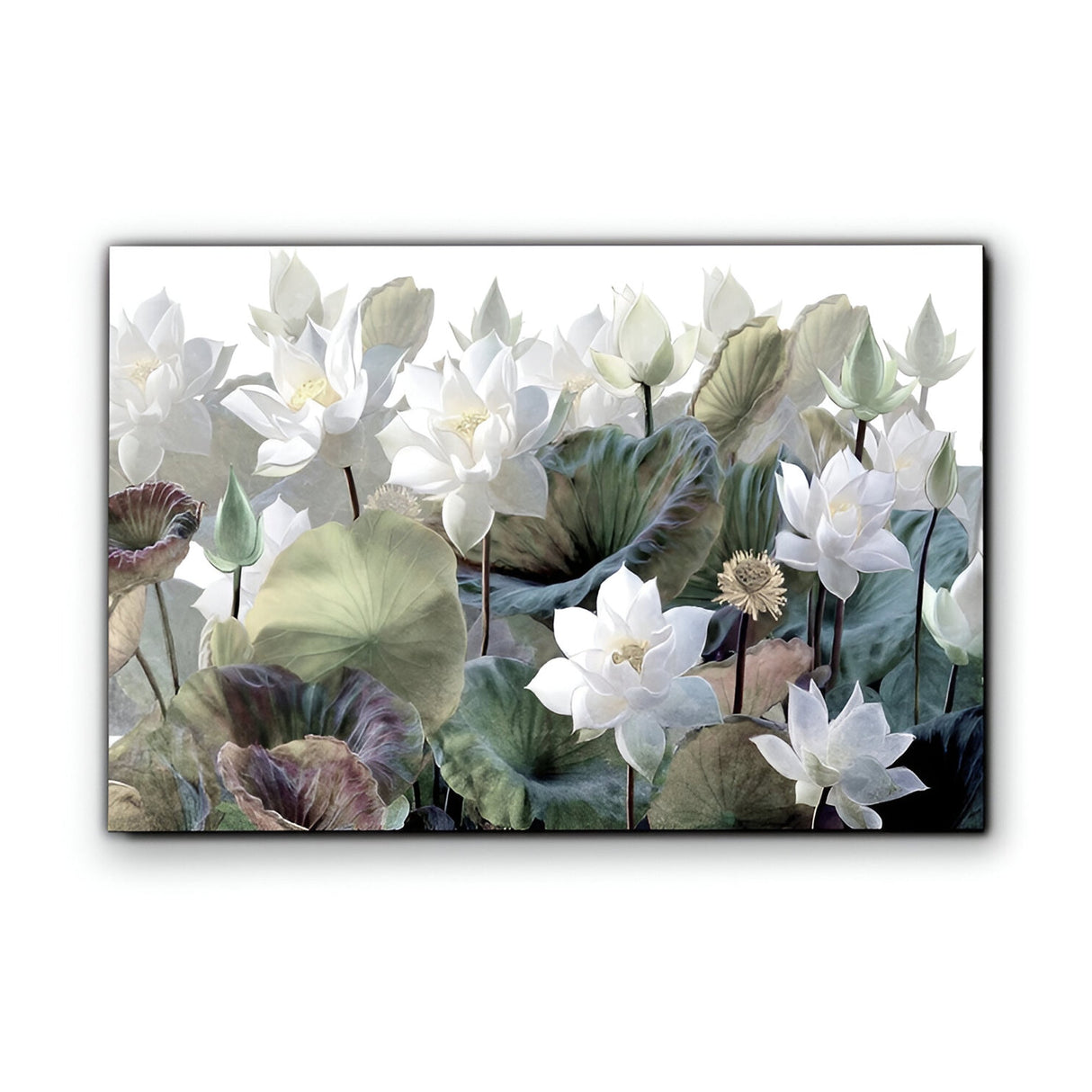 Nenufares Botanical Photography Print - 150x100cm