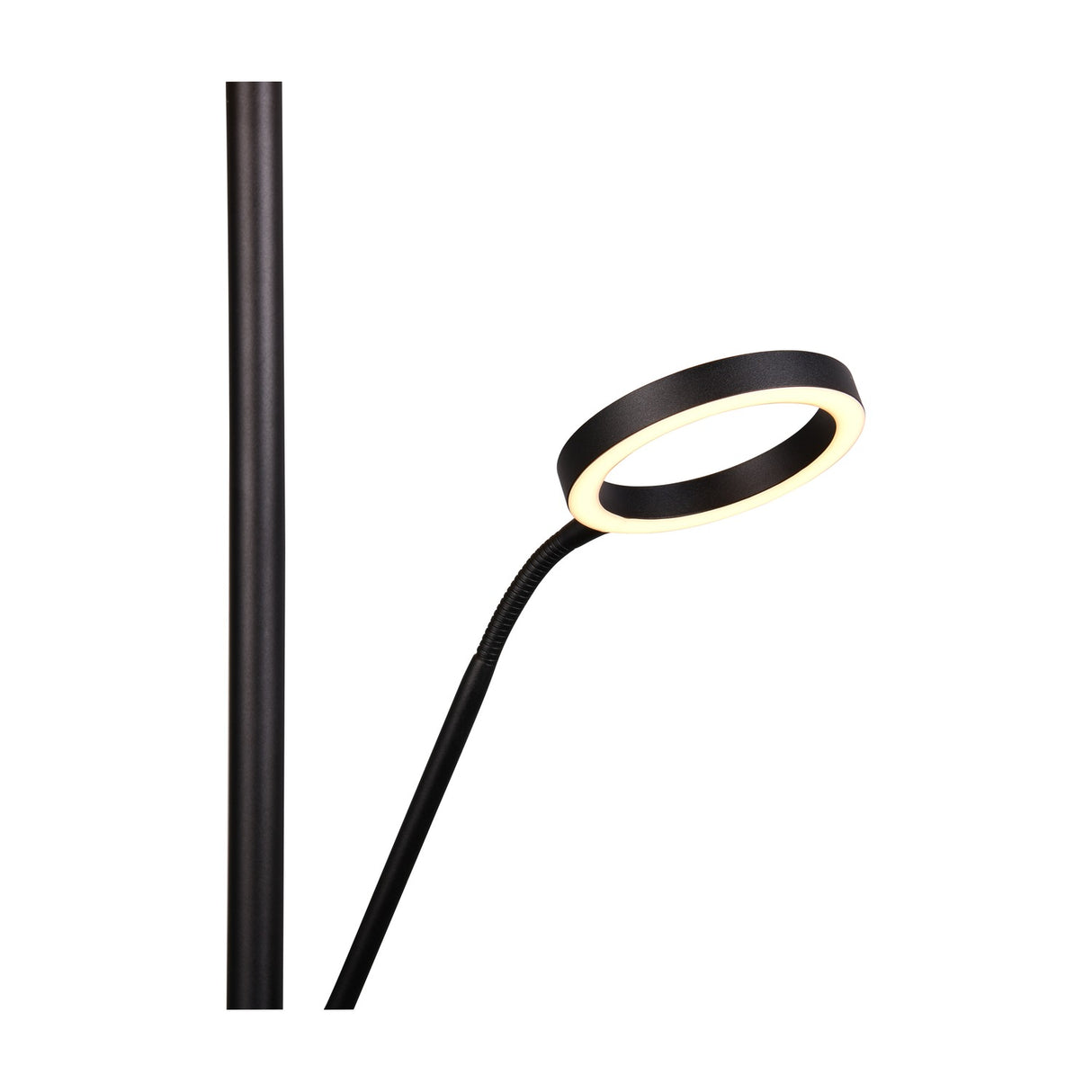 Willis 2 Light LED Floor Lamp – Matt Black