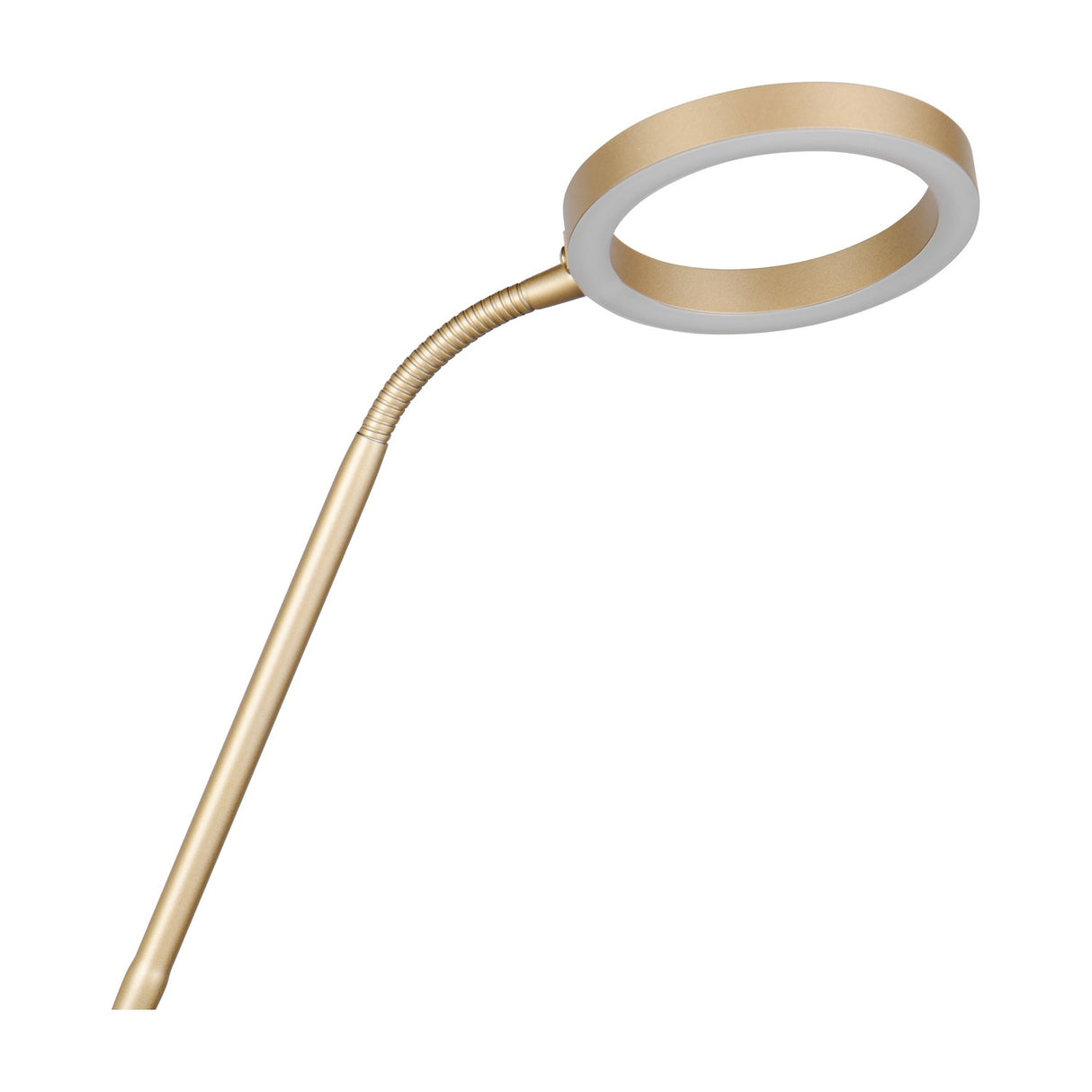 Willis 2 Light LED Floor Lamp – Gold