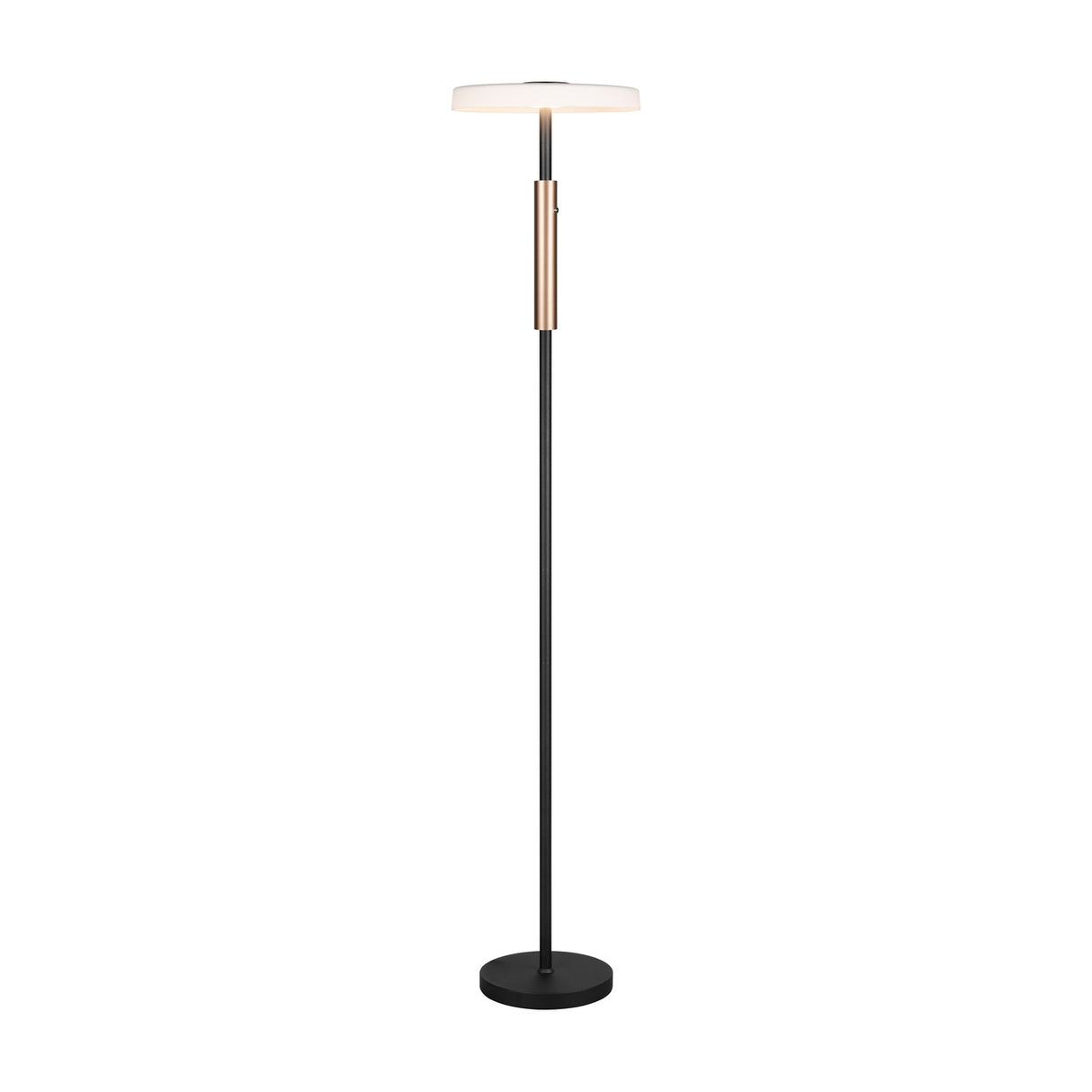 Celeste LED Wooden Floor Lamp – Matt Black