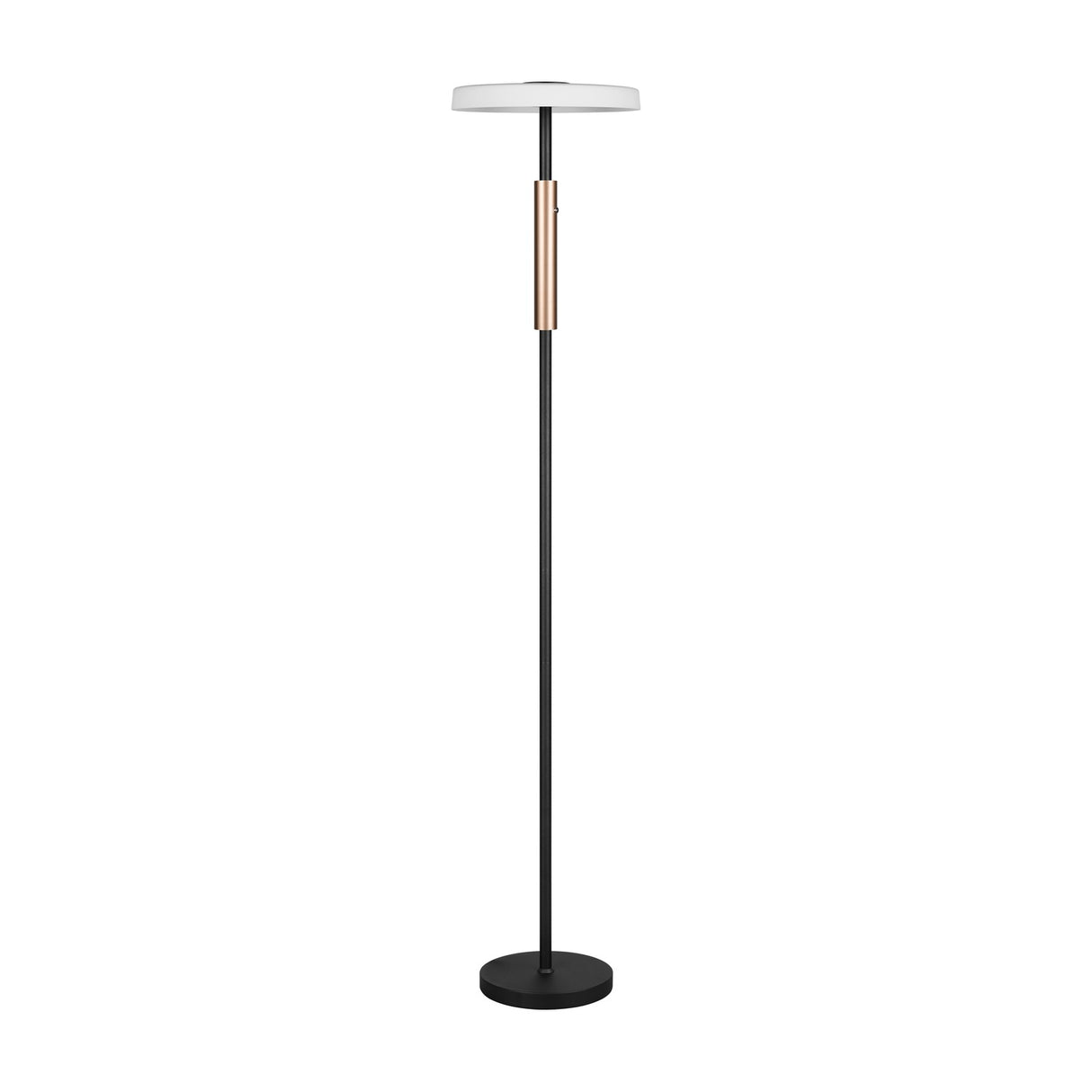 Celeste LED Wooden Floor Lamp – Matt Black