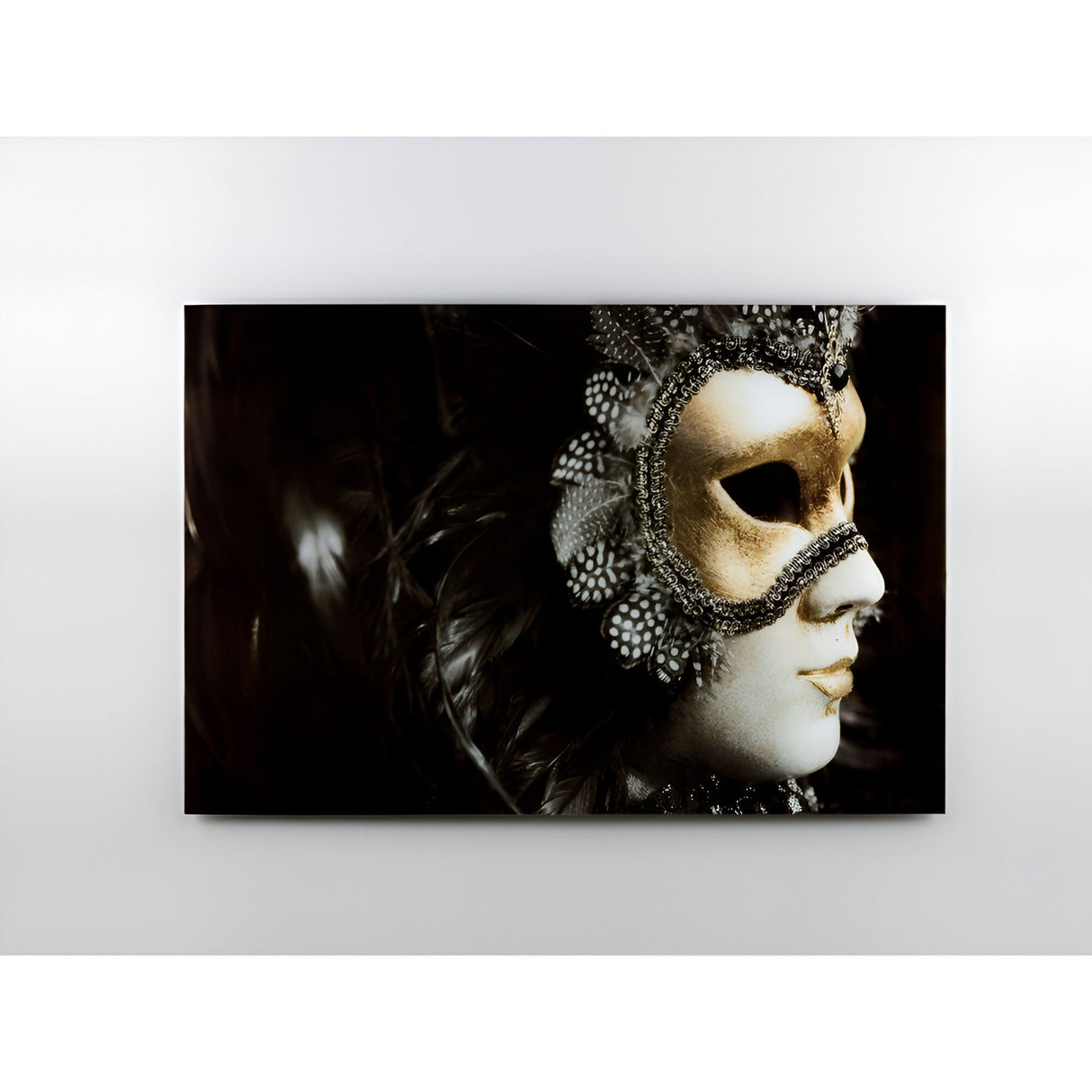 Carnaval Masquerade Photography Print - 150x100cm