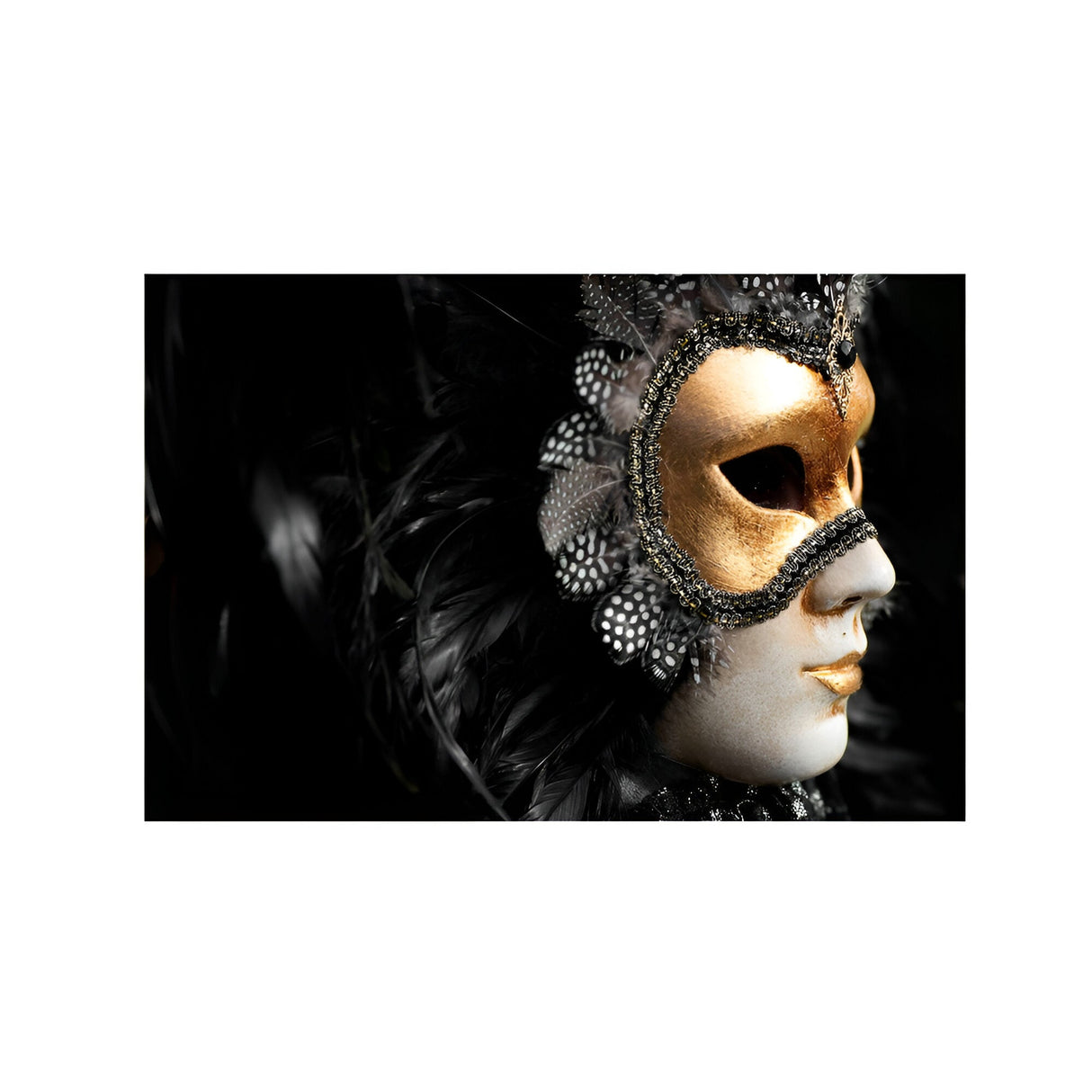 Carnaval Masquerade Photography Print - 150x100cm