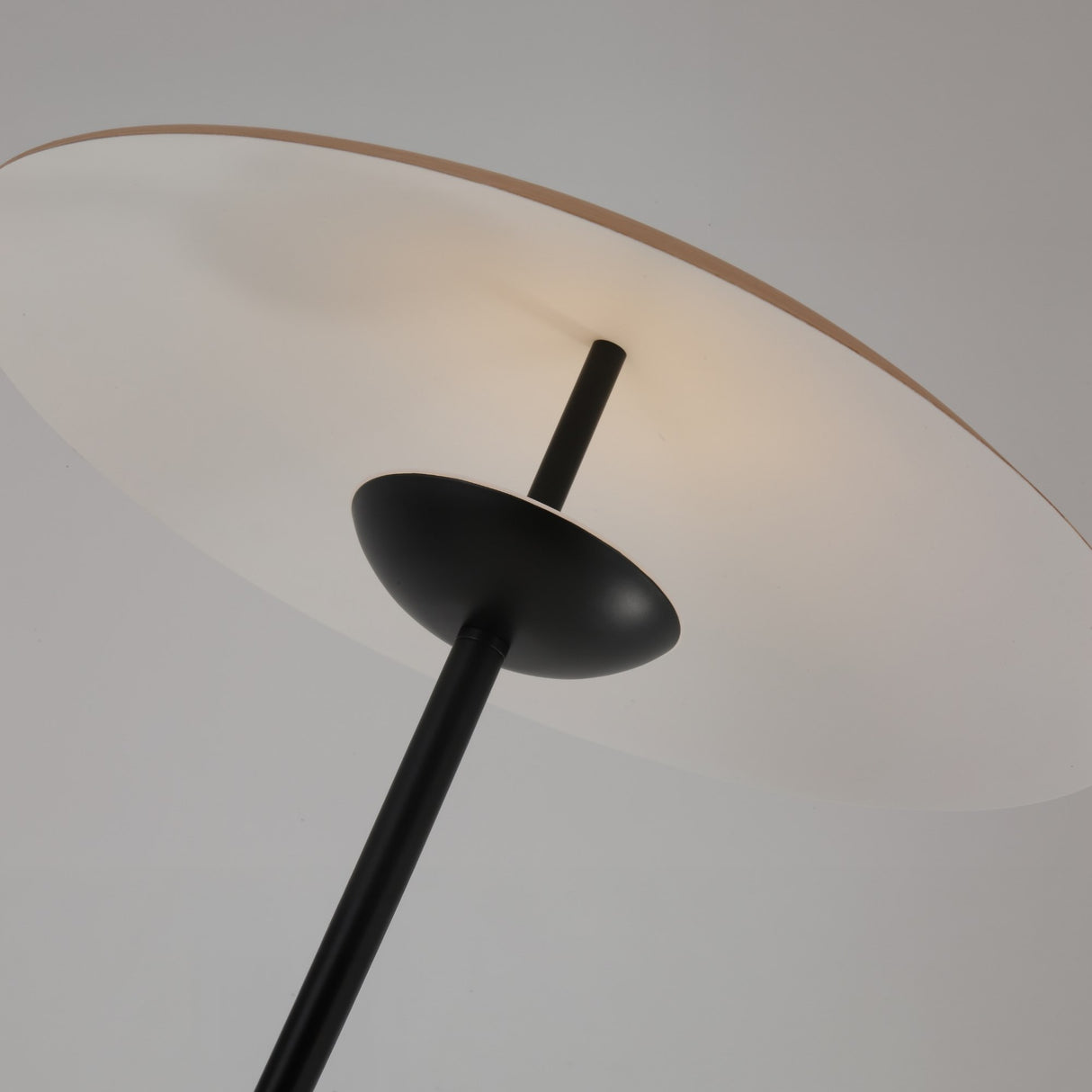 Close-up of the Ex-Display Ginger LED Floor Lamp - Black & Oak, featuring a black pole and round, flat white shade softly illuminated from behind against a neutral background.