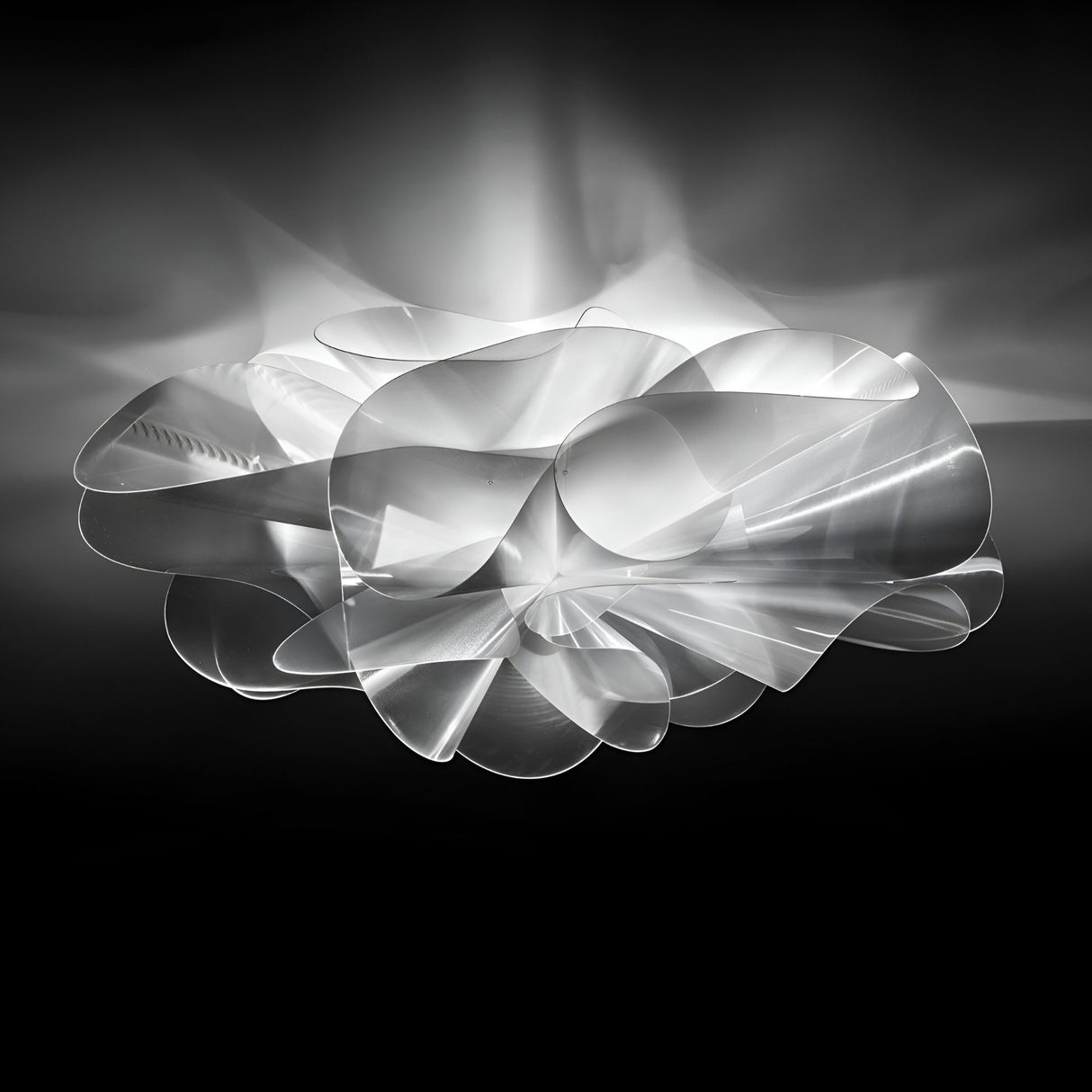 Violla LED Flush Celling Light - White