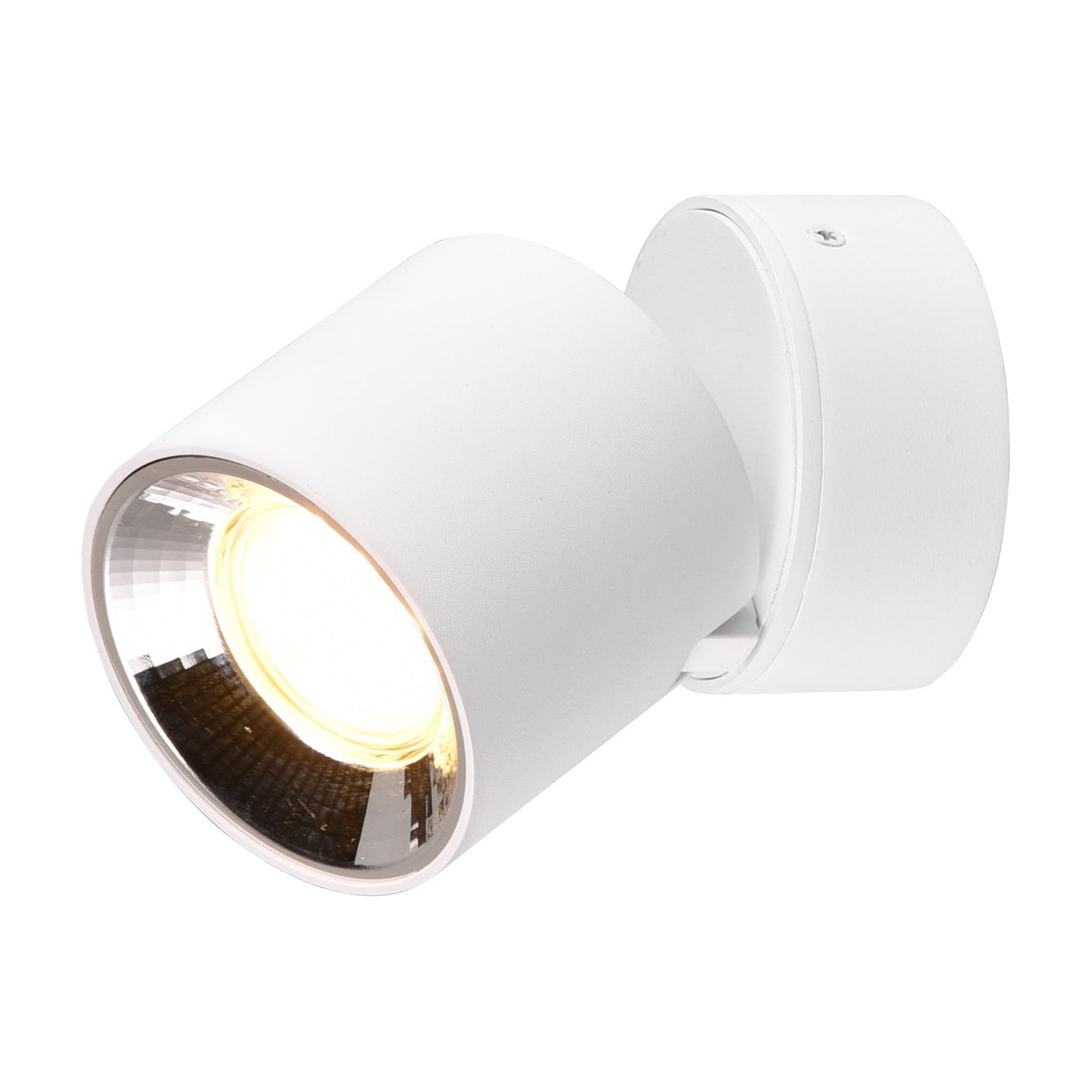 Guayana Ceiling Light – Matt White
