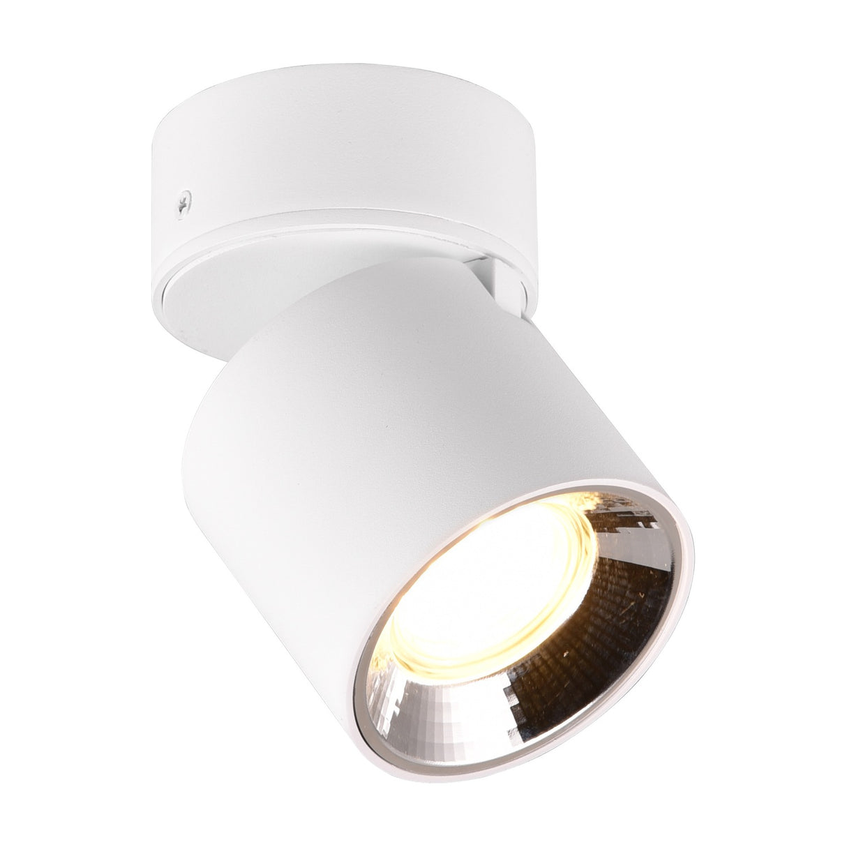 Guayana Ceiling Light – Matt White