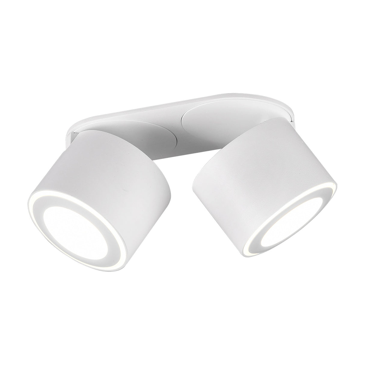 Taurus 2 Light LED Circular Ceiling Light – Matt White