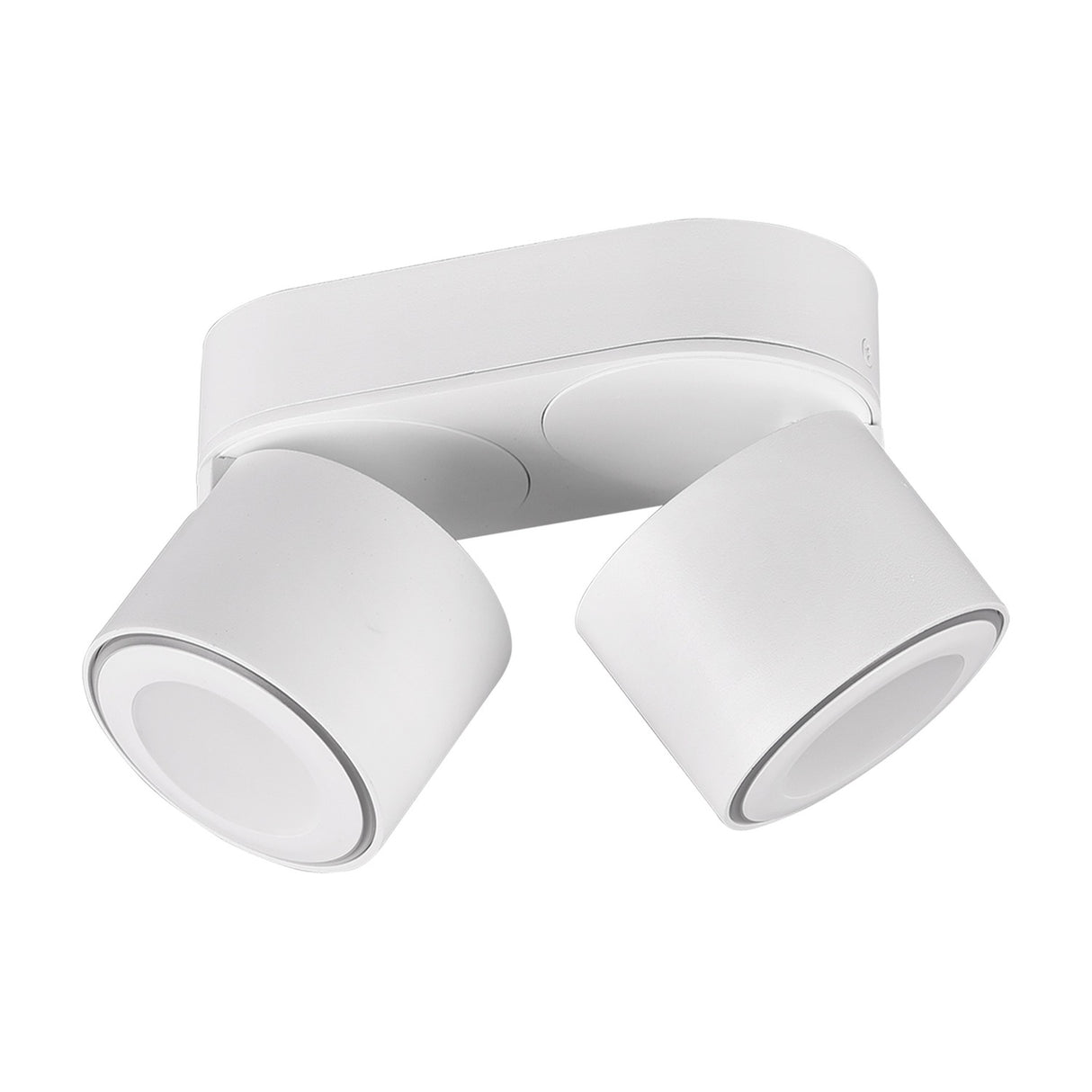Taurus 2 Light LED Circular Ceiling Light – Matt White