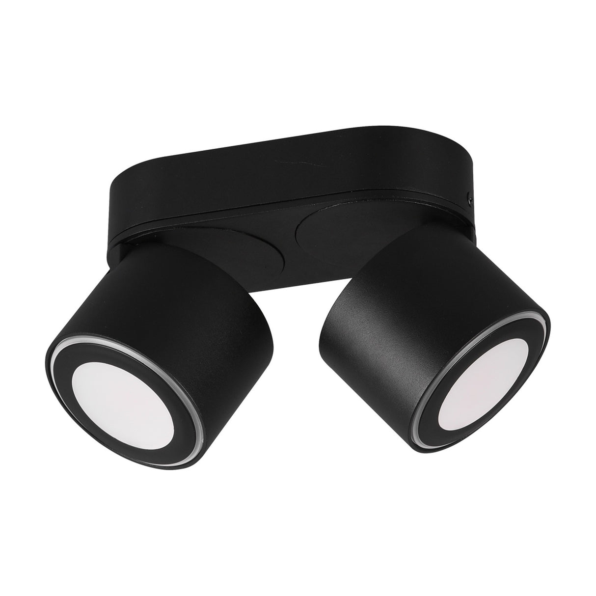 Taurus 2 Light LED Glass Ceiling Light – Matt Black