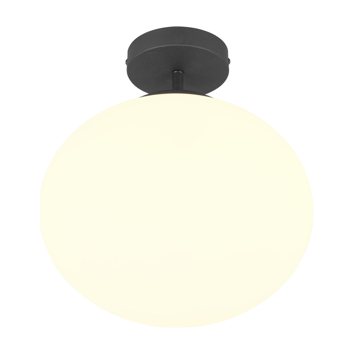 Fomento Glass Ceiling Light – Matt Black