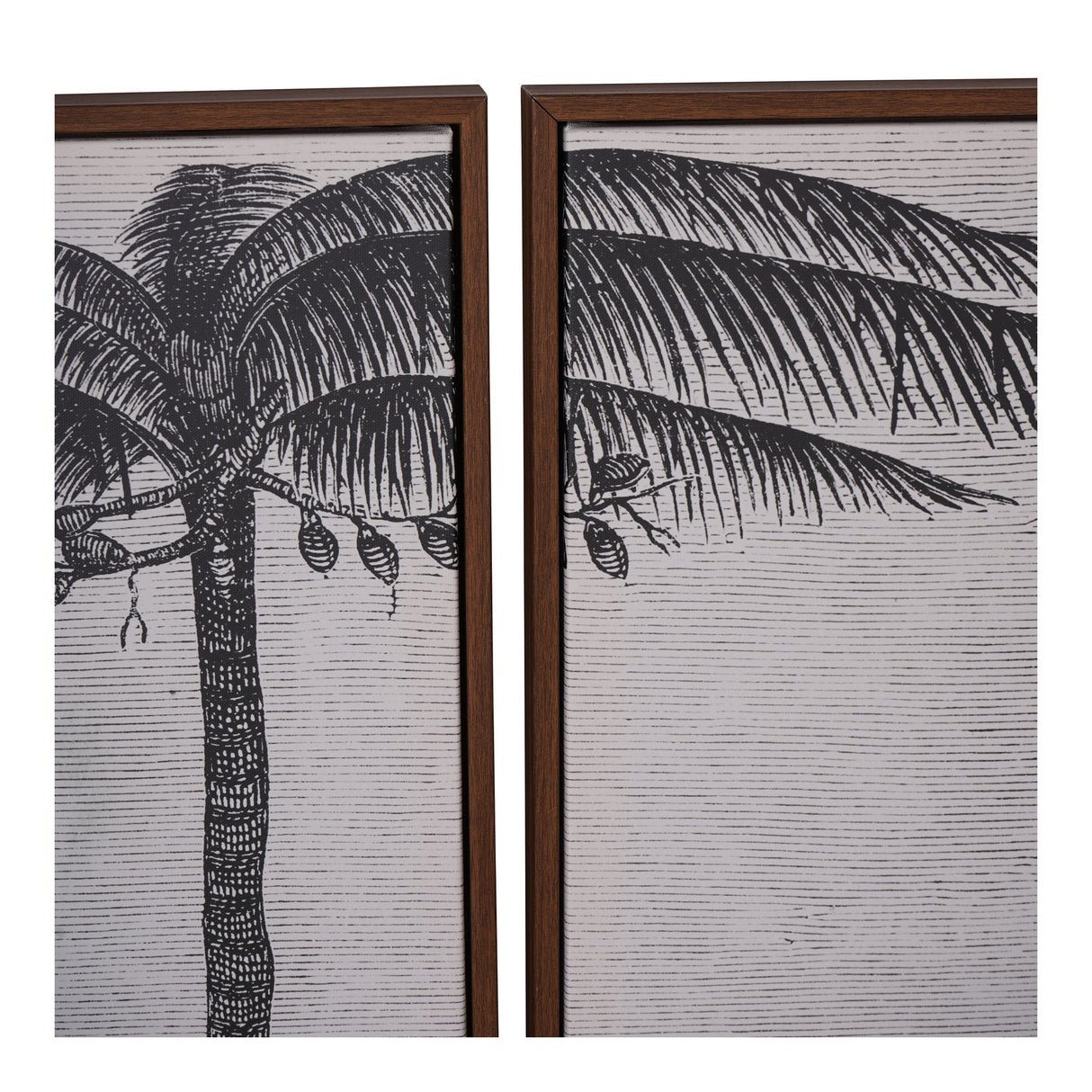 Palm Set of Four Framed Canvas - 45x120cm