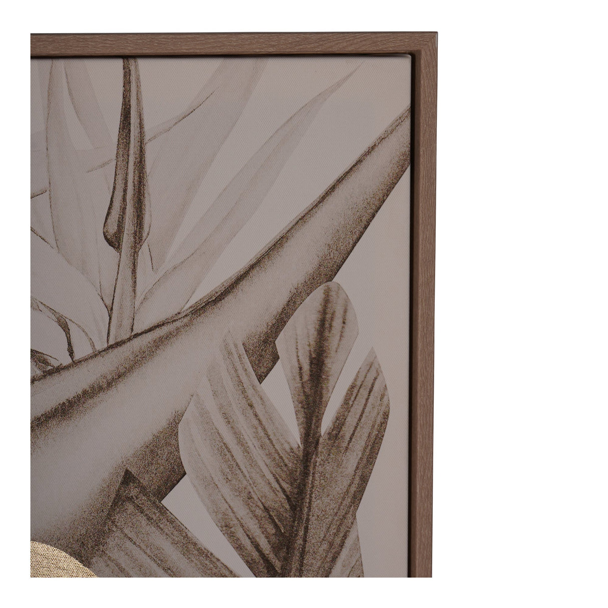 Tropical Birds Set of 3 Framed Canvas - 70x140cm