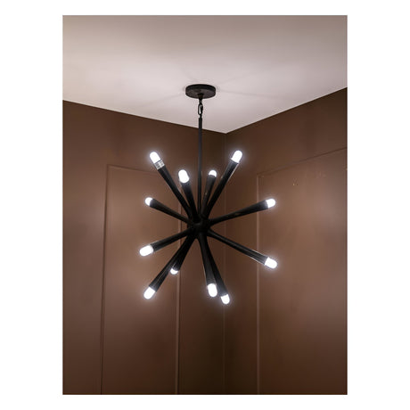 Arren 12 Light Chandelier - Black