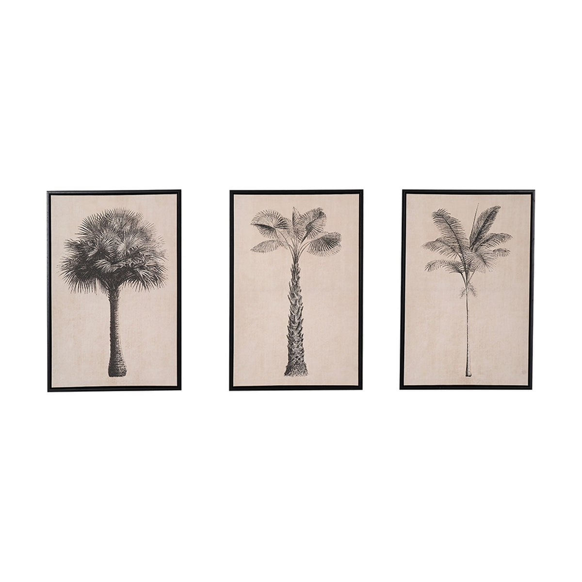 Set of 3 framed canvas wall art prints on natural fabric, each depicting a black palm tree illustration in varying shapes, with black frames on a plain white background.
