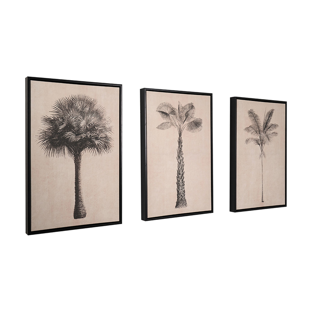 Set of 3 black-framed canvas wall art prints featuring palm tree illustrations in black on natural fabric, shown at an angle against a plain white background.