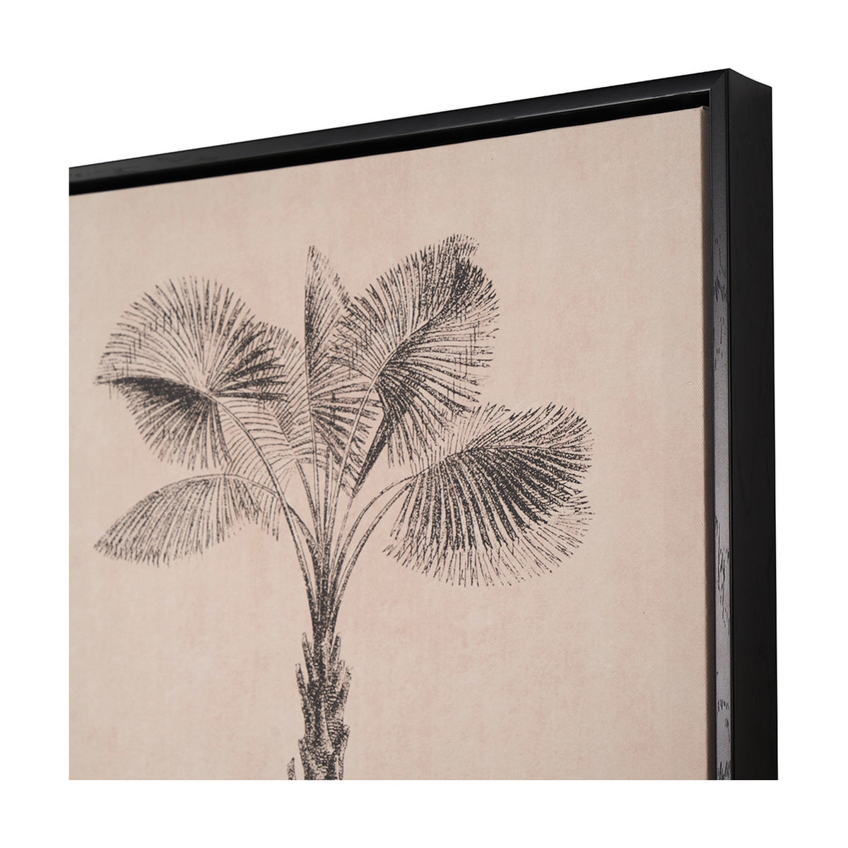 Framed canvas wall art in black frame, close-up angled view showing a black palm tree print on natural background, set against a plain white backdrop.
