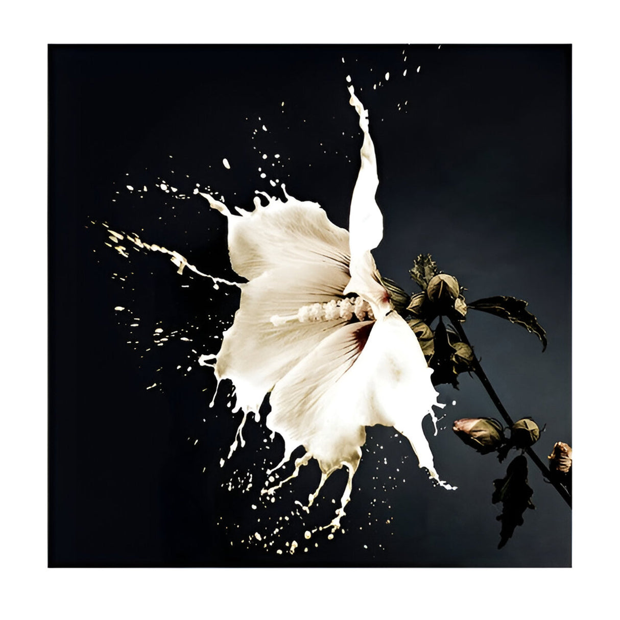 Splash Inked Blossom Impact Photography Print – 100x100cm