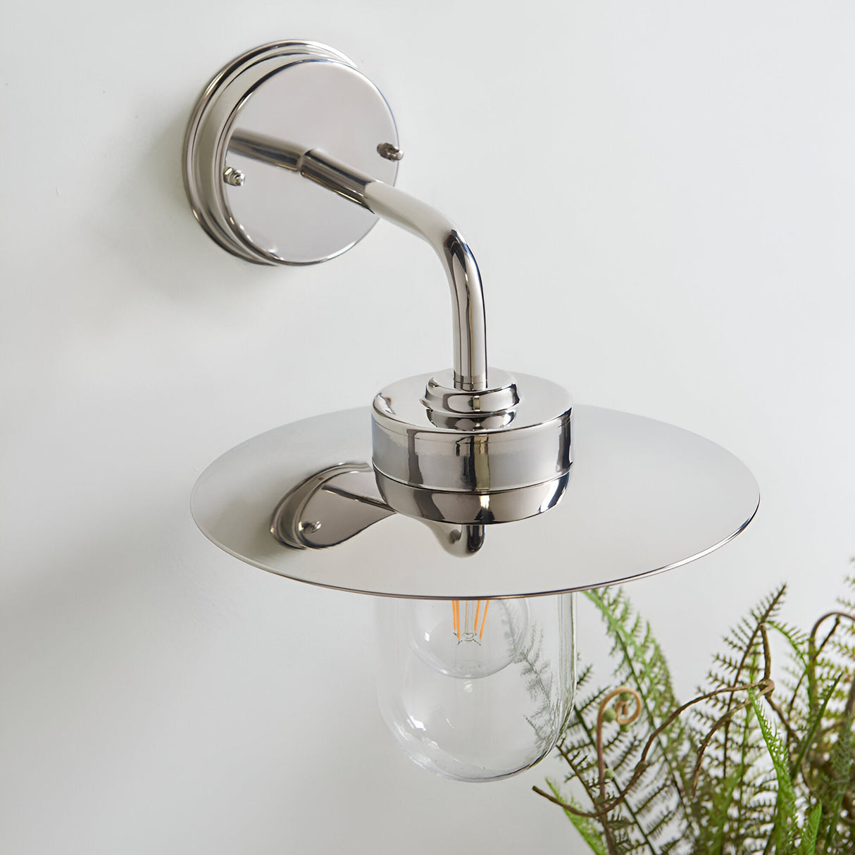 Endon Aldbury outdoor wall light in polished stainless steel with a domed disc shade and clear glass lantern shade, mounted on a white wall beside a fern.