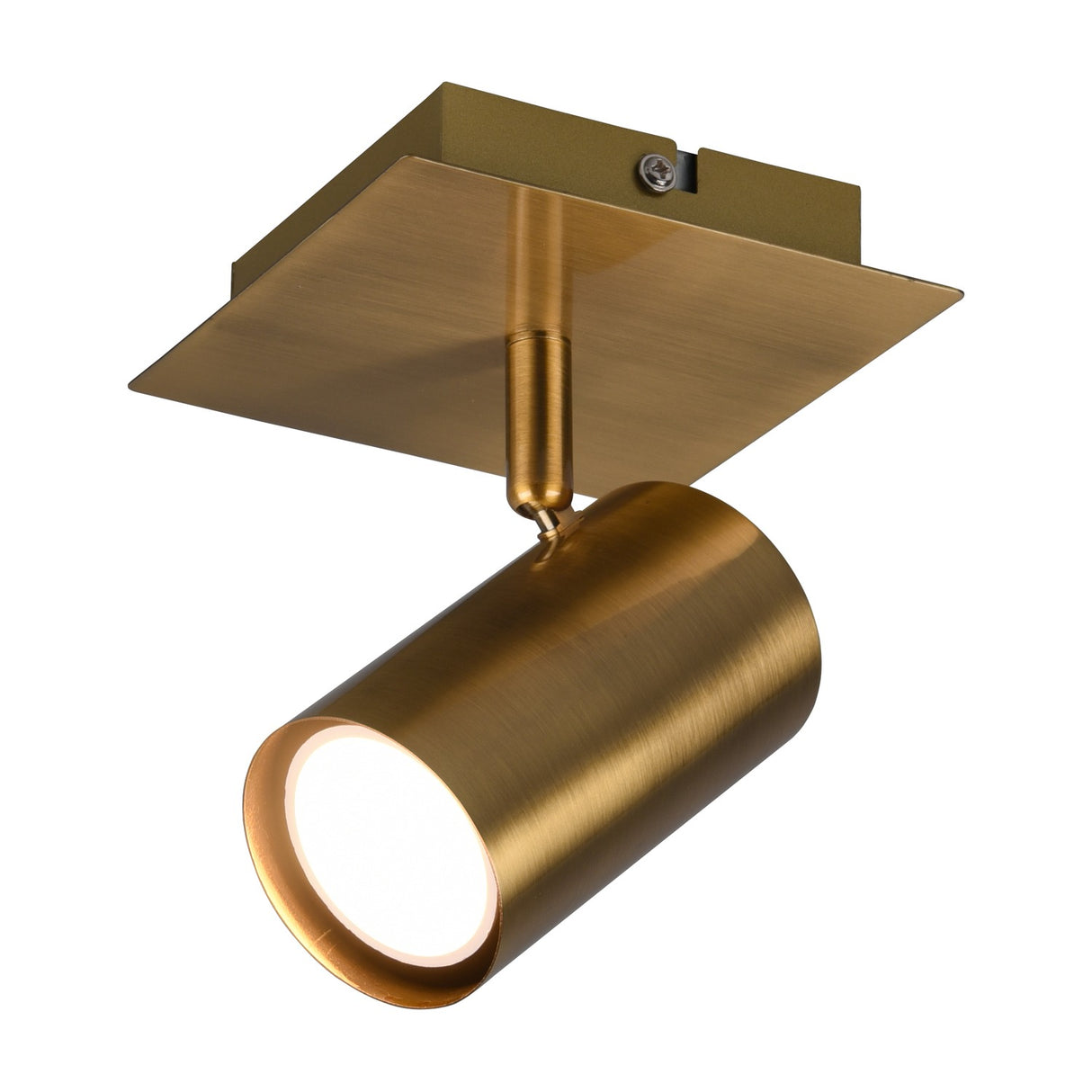 Marley Spotlight – Antique Brass