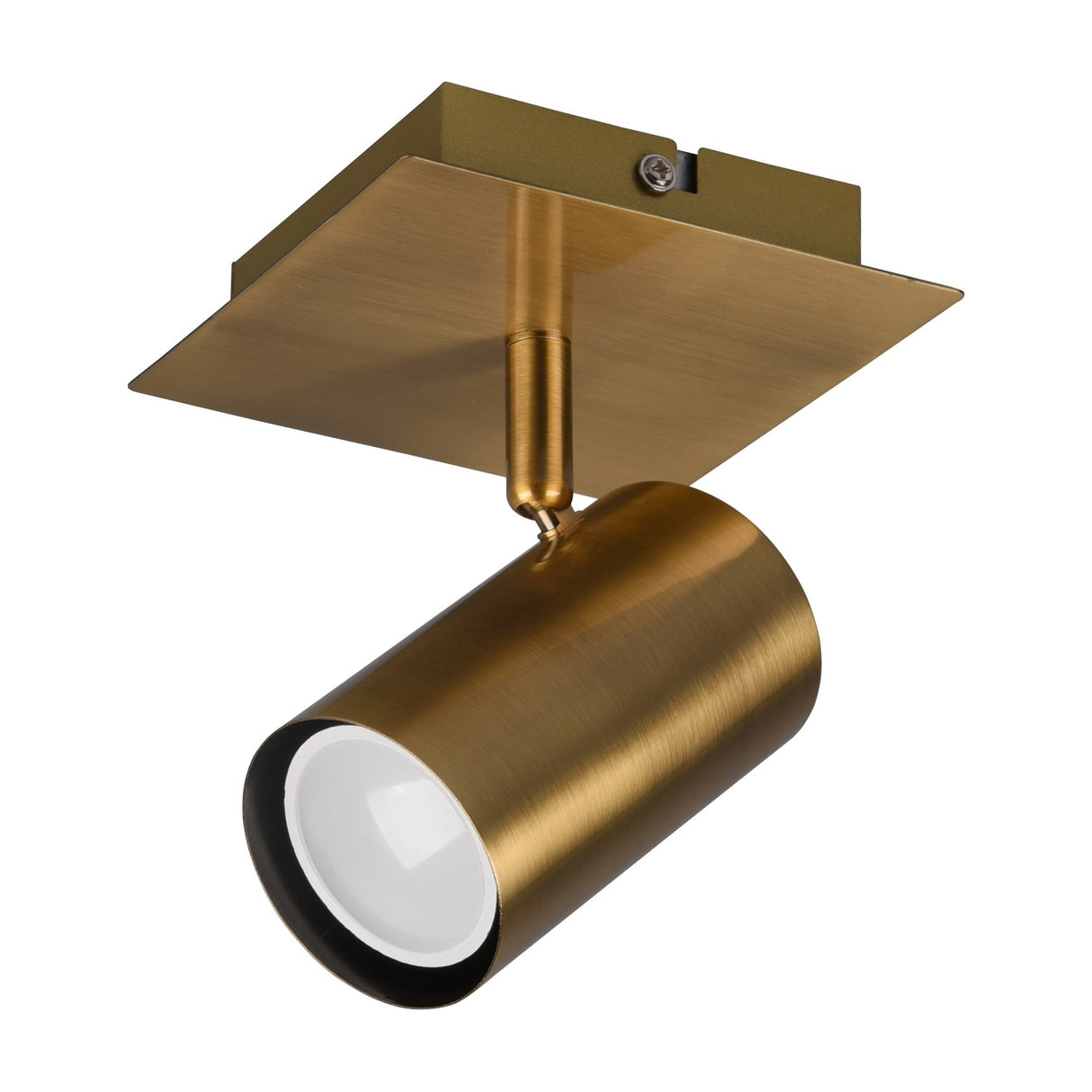 Marley Spotlight – Antique Brass