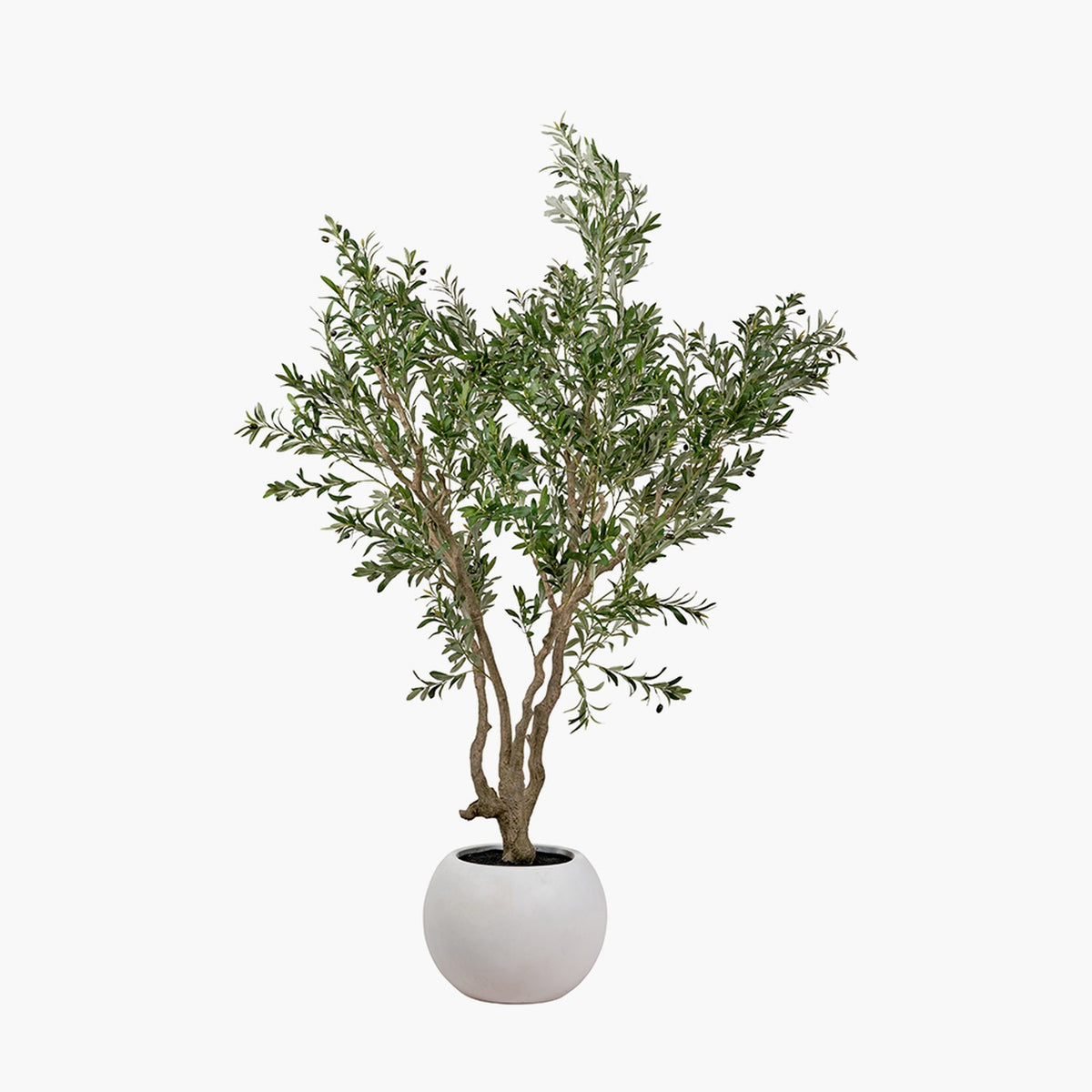 Extra Large Olive Tree in Pot, 250cm faux tree with branching trunk and green foliage in a round white planter, shown on a plain white background.
