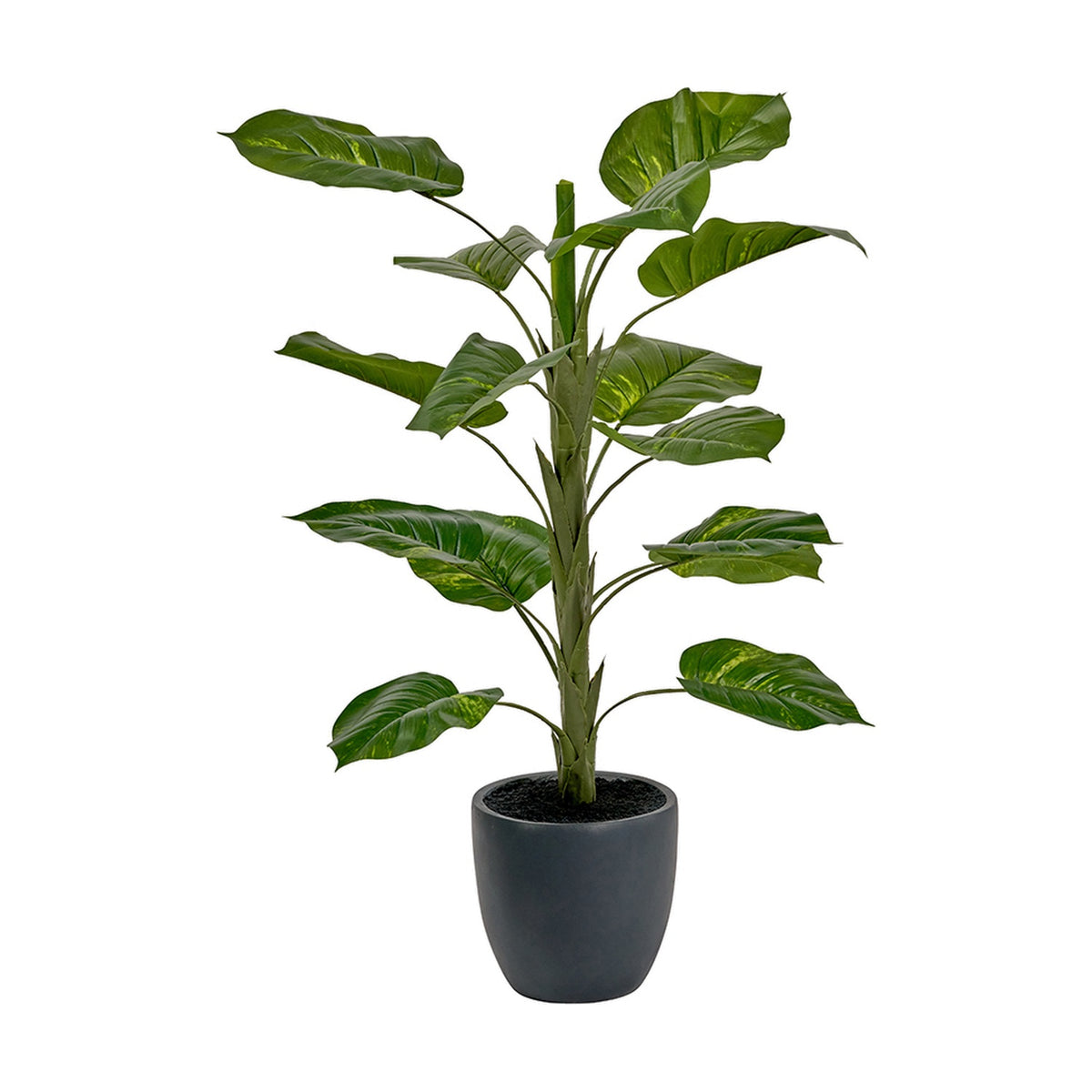 Artificial Elephant Ear plant, 120cm tall, with large green leaves on branching stems, potted in a dark grey round planter against a plain white background.
