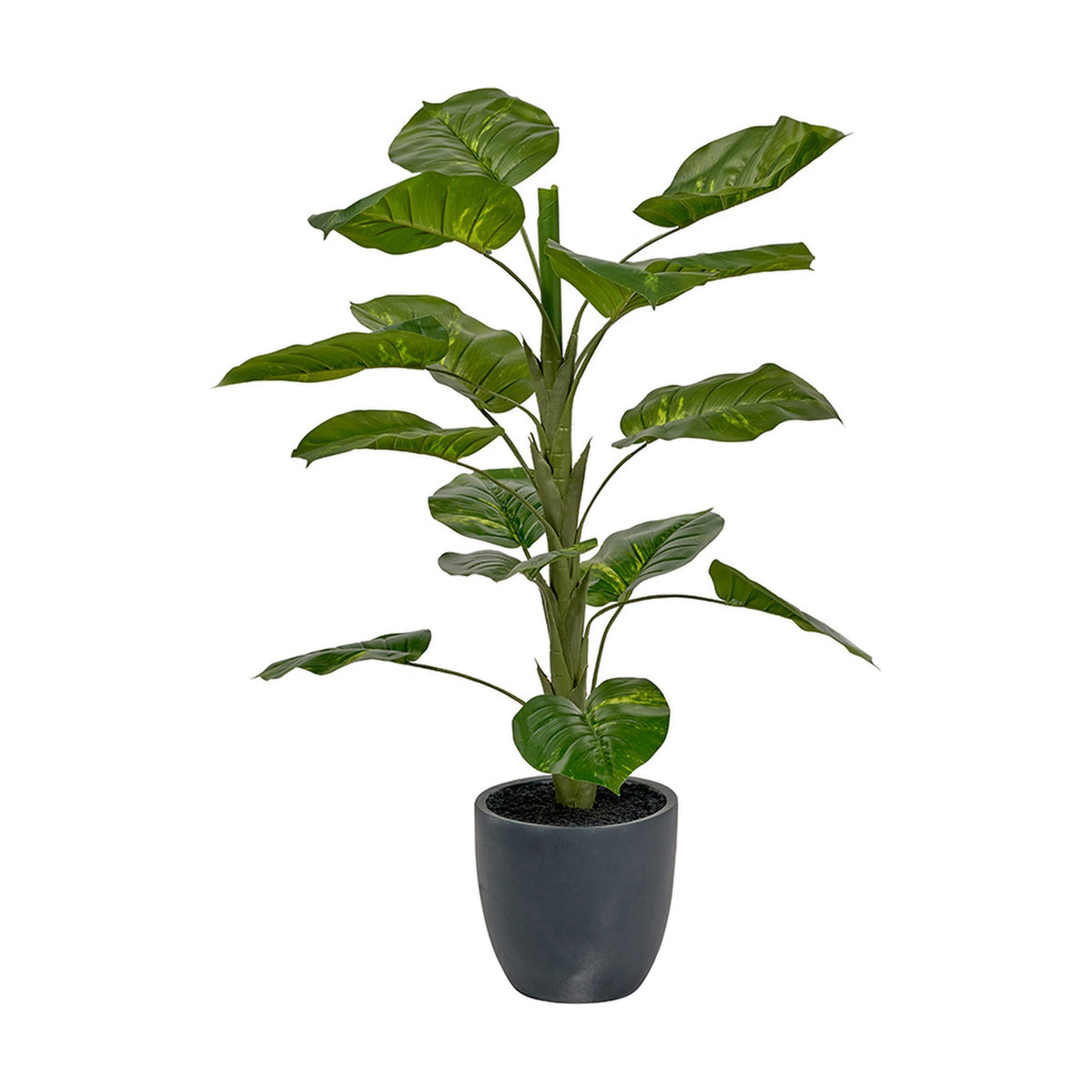 Elephant Ear Plant in Pot, 120cm faux plant with broad green leaves on tall stems, set in a round dark grey concrete-look pot against a plain white background.