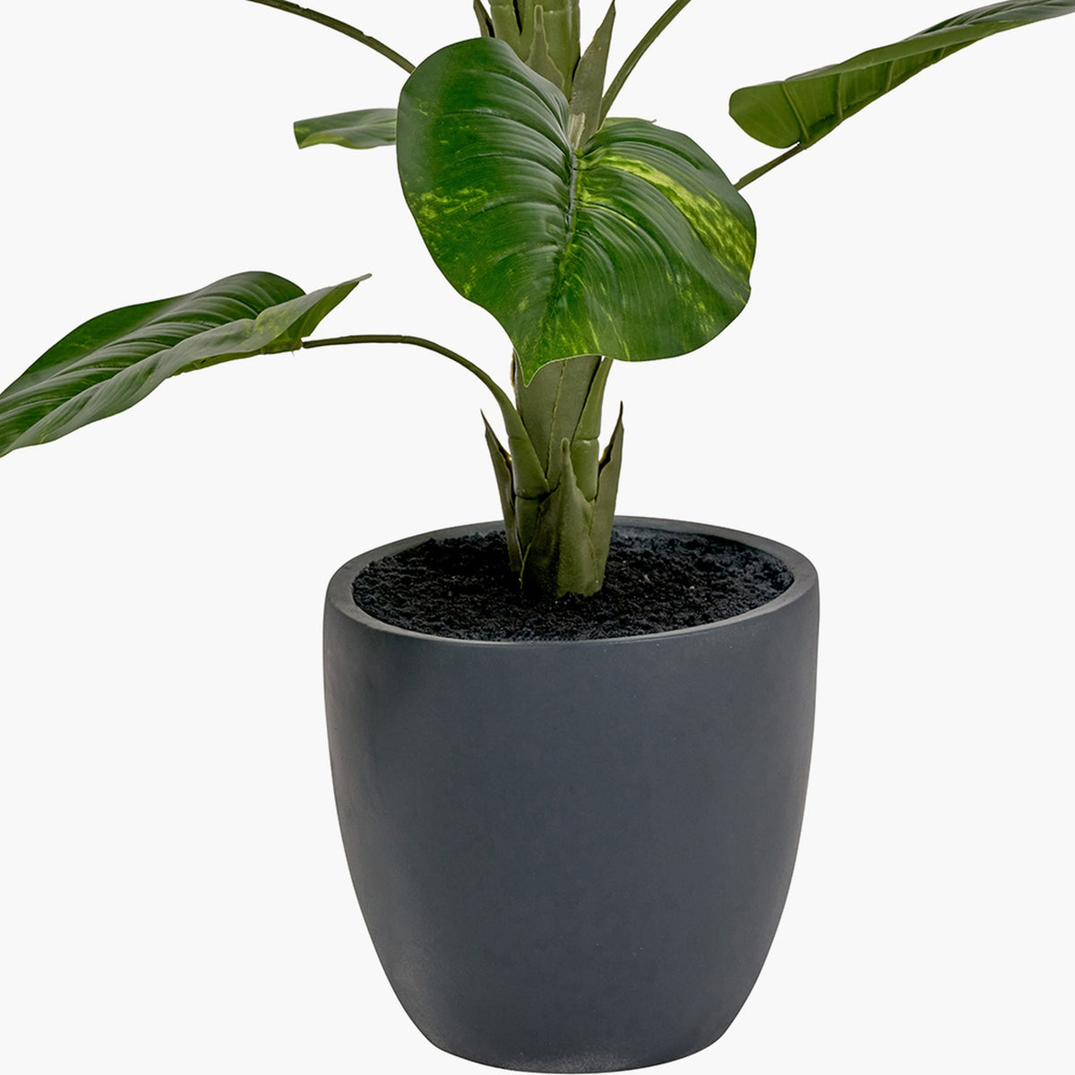Elephant Ear Plant in Pot, 120cm artificial plant with large green variegated leaves in a round matte charcoal planter, shown against a plain white background.