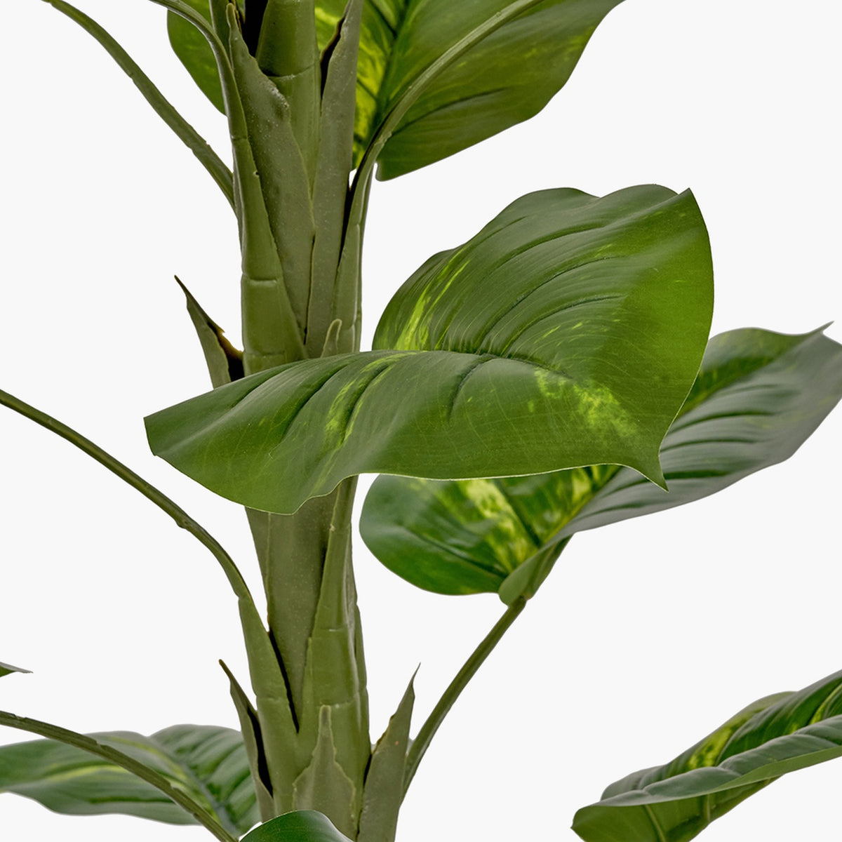 Close-up of the Elephant Ear Plant in Pot, 120cm, showing broad green faux leaves with visible veining on a textured stem against a plain white background.
