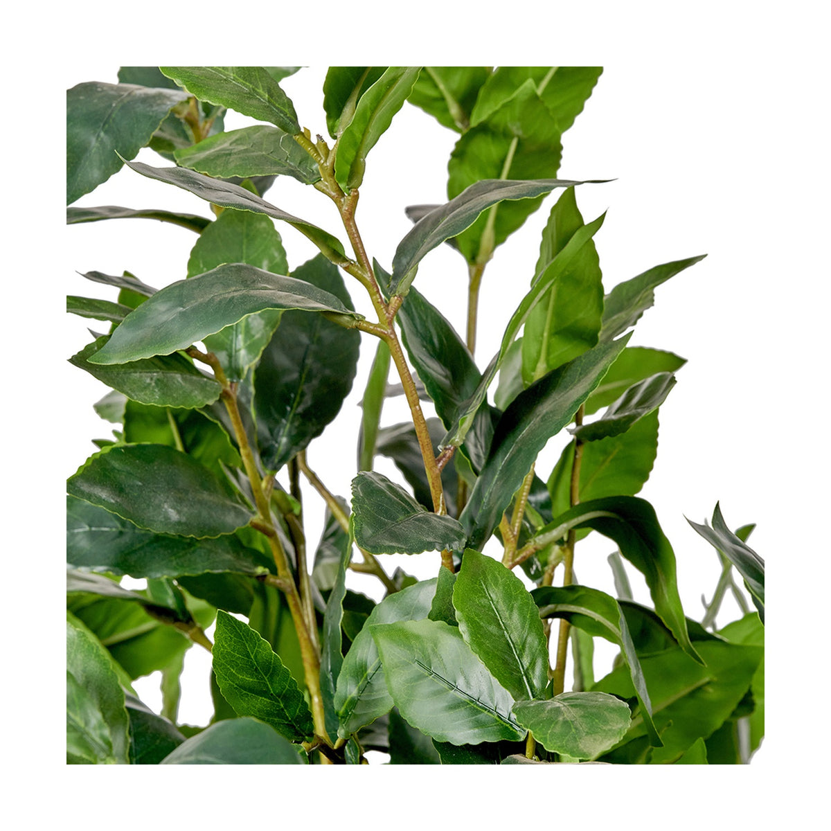 Close-up of the Medium Bay Tree in Pot, 150cm faux plant, showing dense green composite leaves and woody stems against a plain white background.
