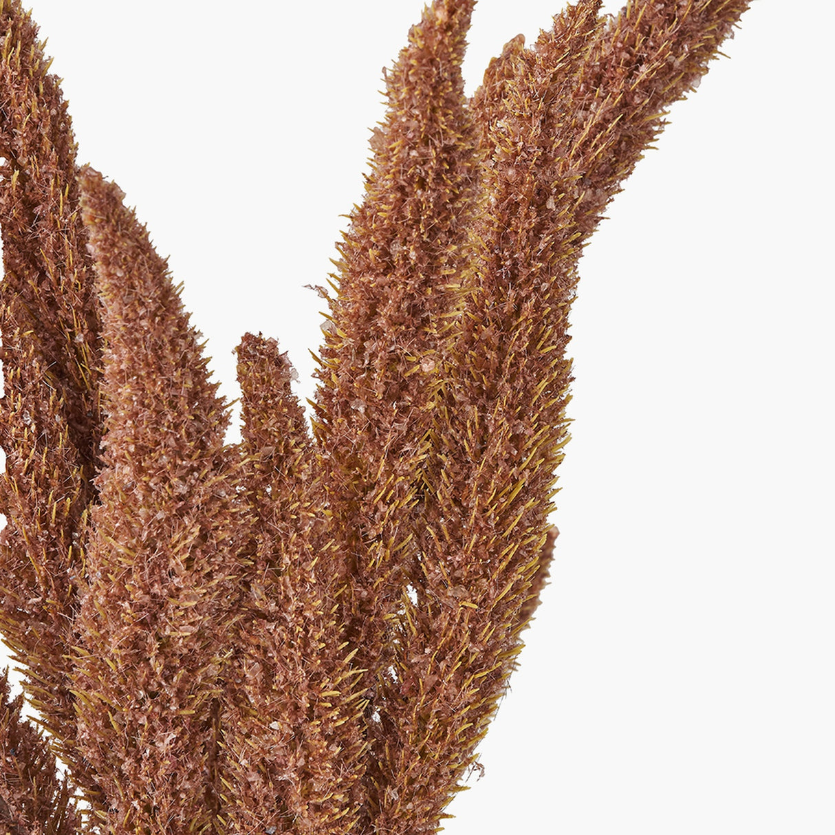 Mulberry Brown Foxtail Hand-Tied 3 Stem Bundle Pack Artificial Flowers