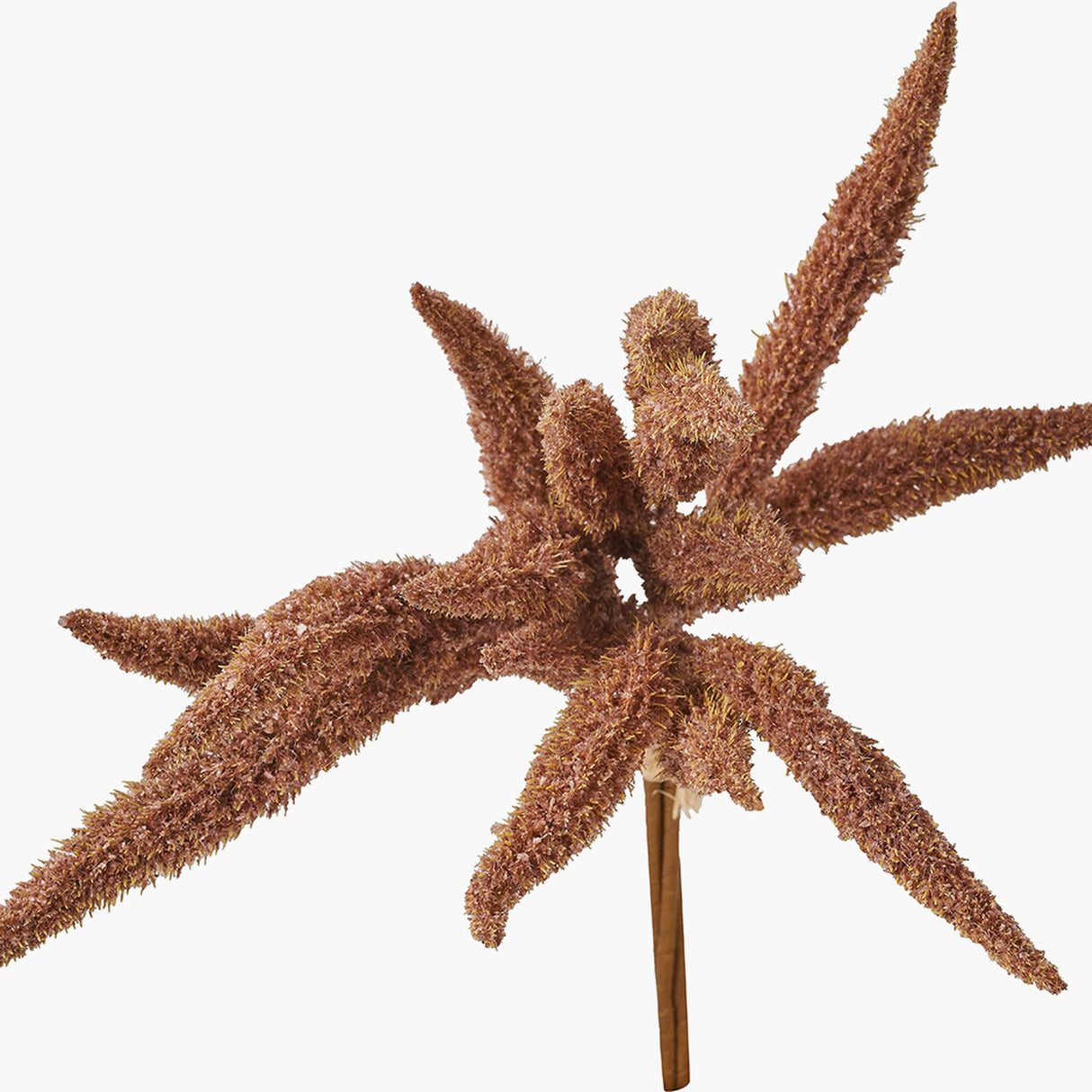 Mulberry Brown Foxtail Hand-Tied 3 Stem Bundle Pack Artificial Flowers