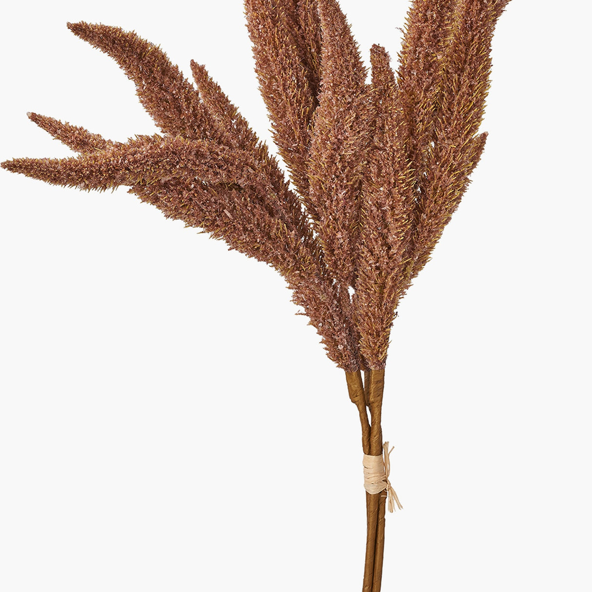 Mulberry Brown Foxtail Hand-Tied 3 Stem Bundle Pack Artificial Flowers