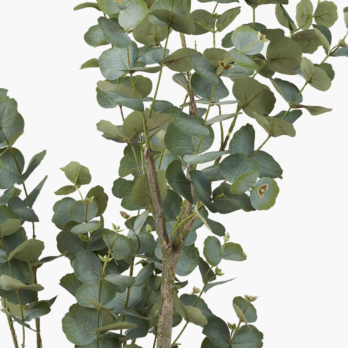 Close-up of an artificial tree, 130cm, showing rounded green-grey leaves on brown branching stems against a plain white background.