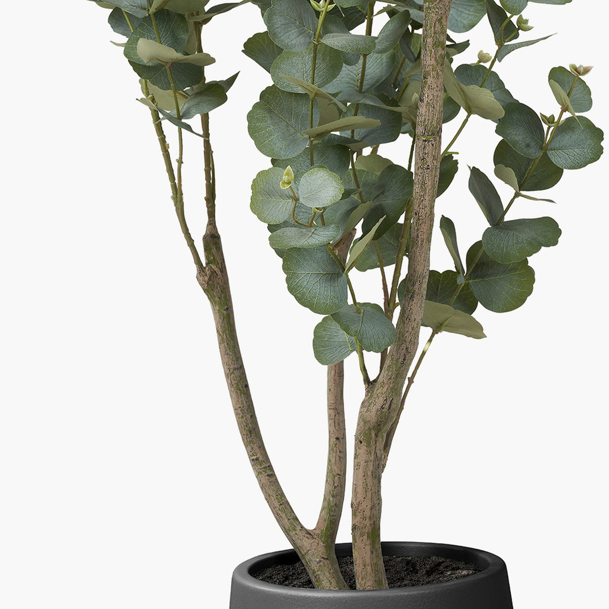Close-up of the Tree in Pot, 130cm faux tree with multiple bark-textured stems and rounded green-grey leaves, set in a matte black pot against a plain white background.