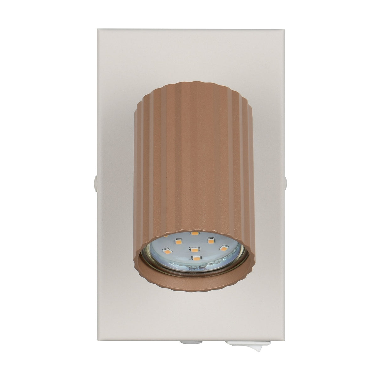 Soka Spotlight – Coffee