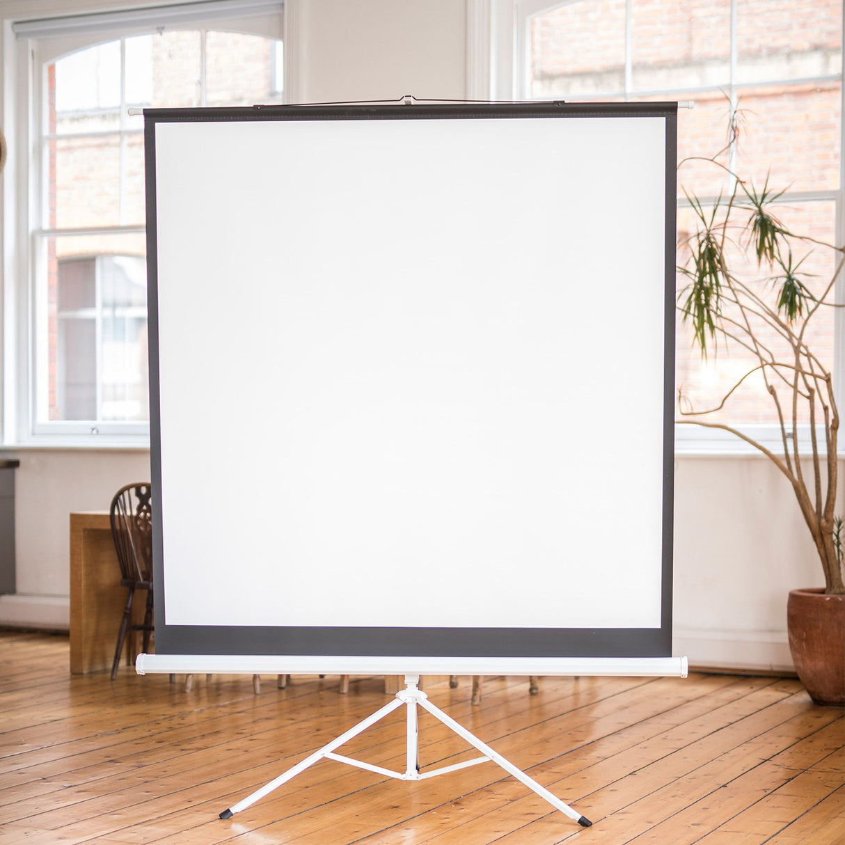 AV:Link TPS84-1:1 84" 1:1 Manual Tripod Projector Screen