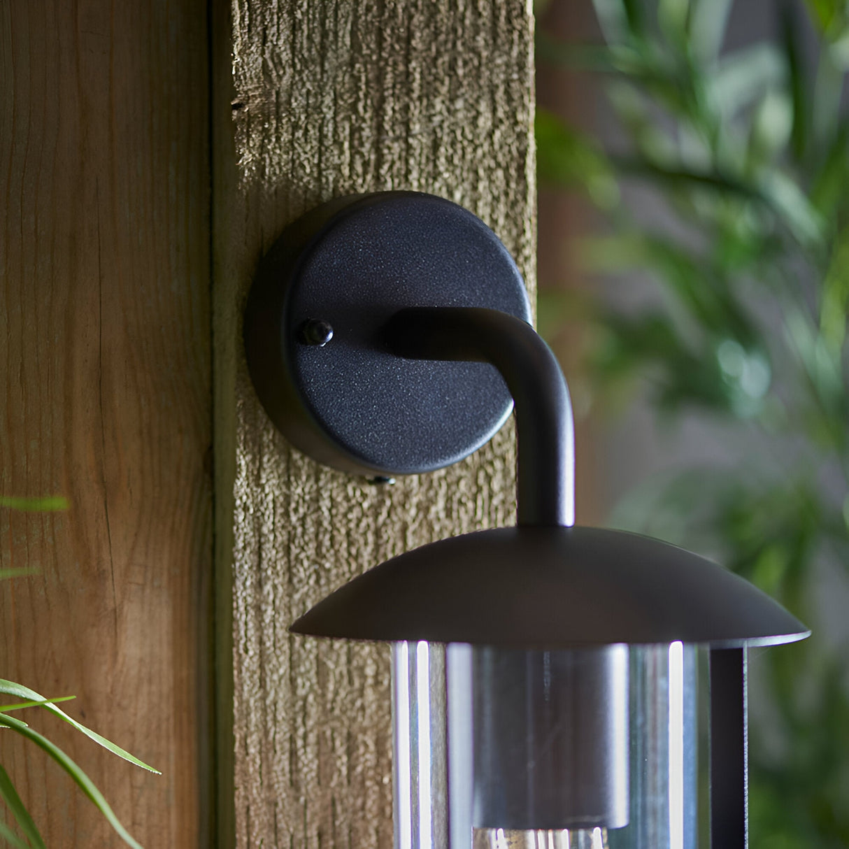 Chartley Outdoor Wall Light in black, close-up of curved bracket and dome shade with clear glass on a wooden post, greenery in background.