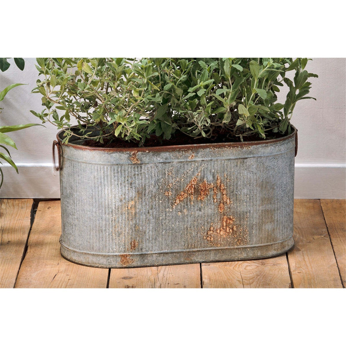Akasa Large Trough Planter - Zinc