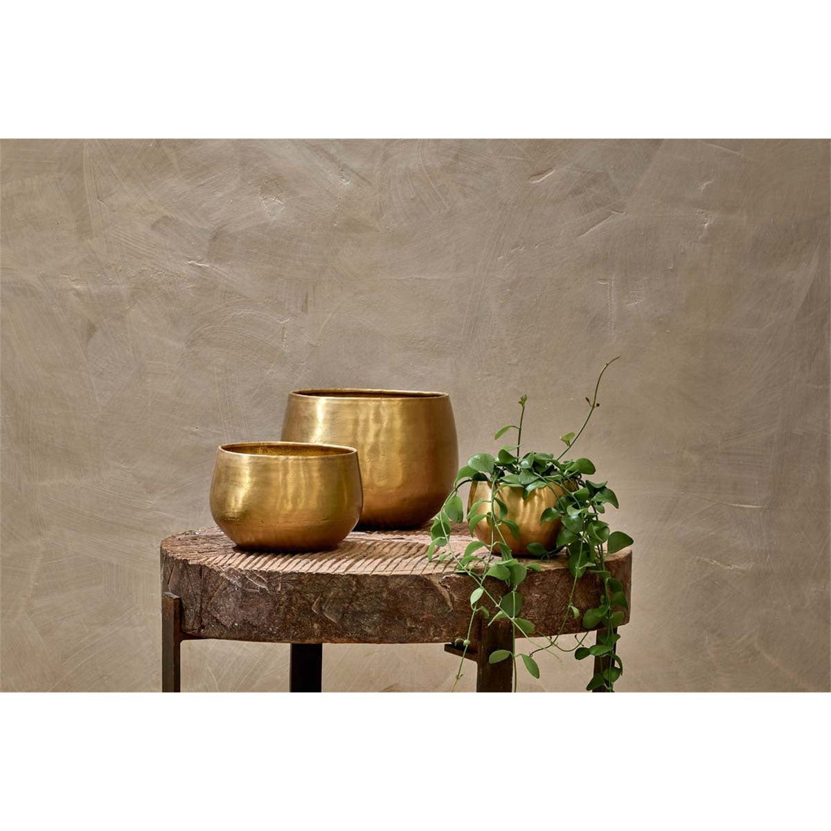 Atsu Medium Brass Planter - Antique Brass
