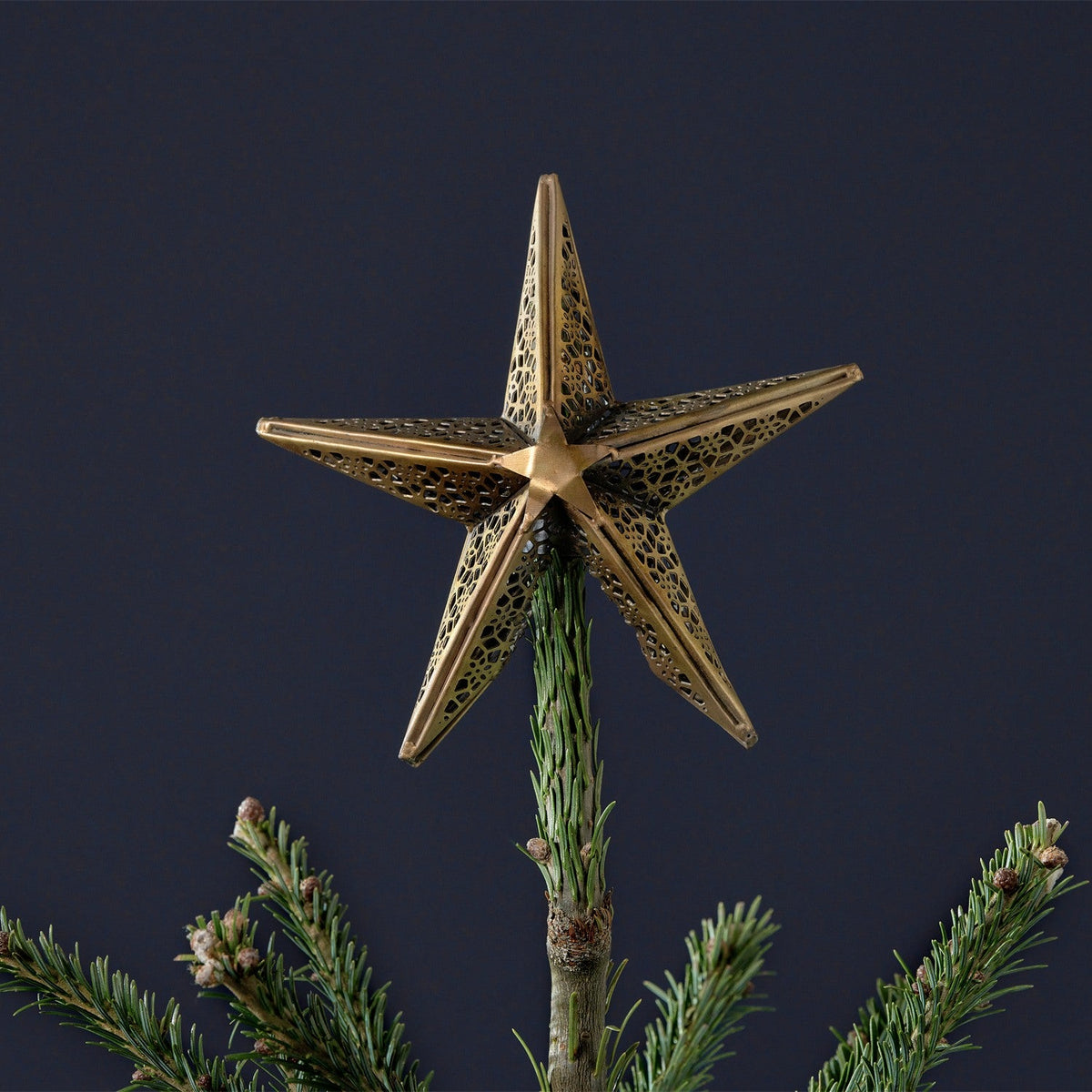 Bishakha Star Christmas Tree Topper - Brass