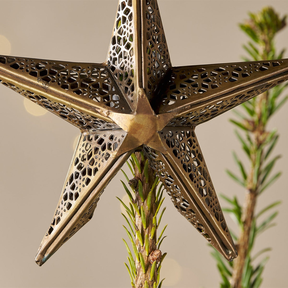 Bishakha Star Christmas Tree Topper - Brass