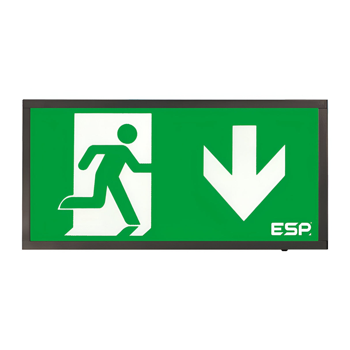 Duceri Emergency Surface Exit Box 3W LED Up Legend Lithium Battery Maintained - Black