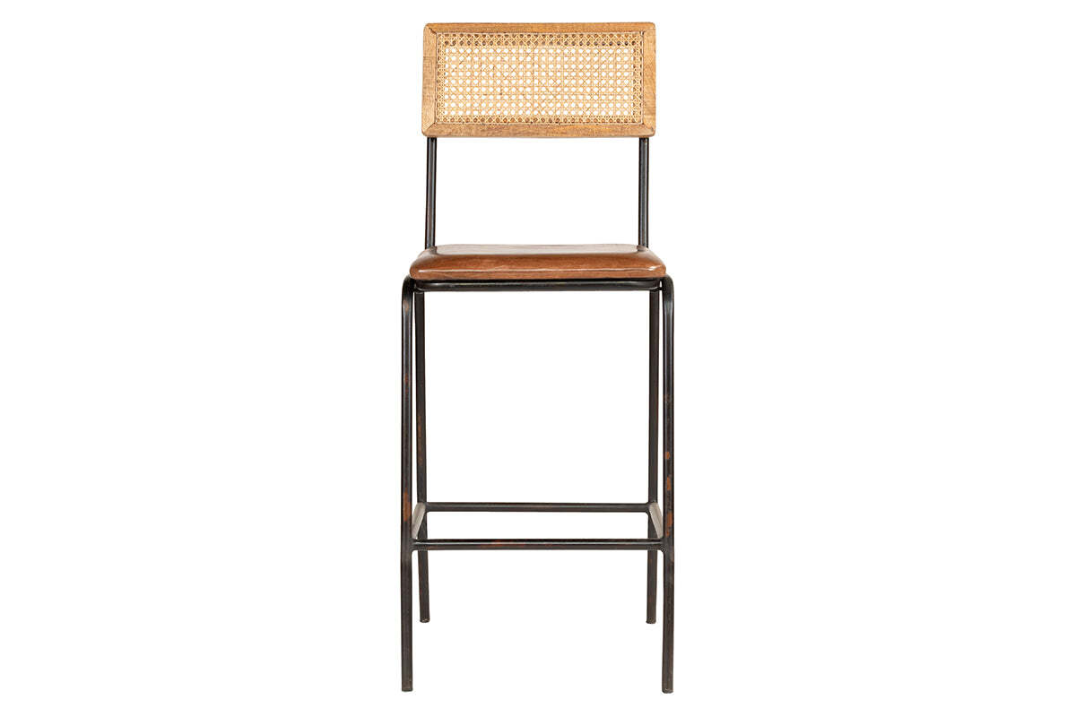 Iswa Leather & Cane Counter Stool - Tan