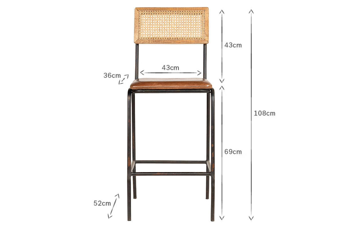 Iswa Leather & Cane Counter Stool - Tan