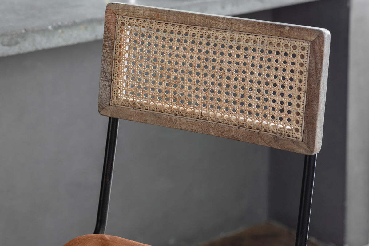 Iswa Leather & Cane Counter Stool - Tan