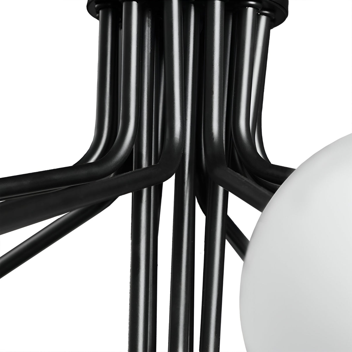 Close-up of the Ivy 18 Light Chandelier - Black, featuring a modern black metal design with multiple curved arms and a white frosted glass globe, inspired by elegant natural forms.