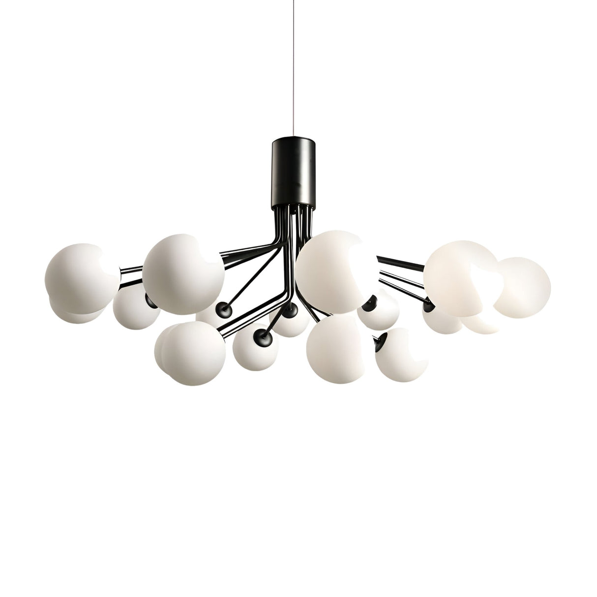 The Ivy 18 Light Chandelier - Black features white frosted glass globes on black metal arms, creating a nature-inspired look suspended elegantly from the ceiling by a single cord.