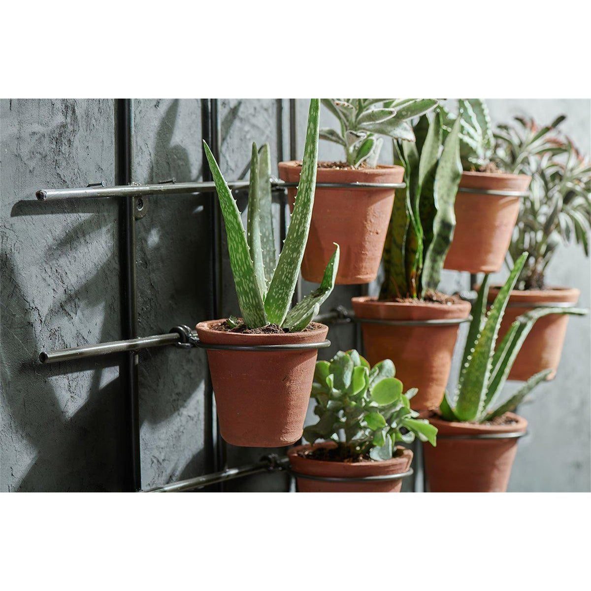 Jara Wall Hanging Planter - Terracotta & Iron